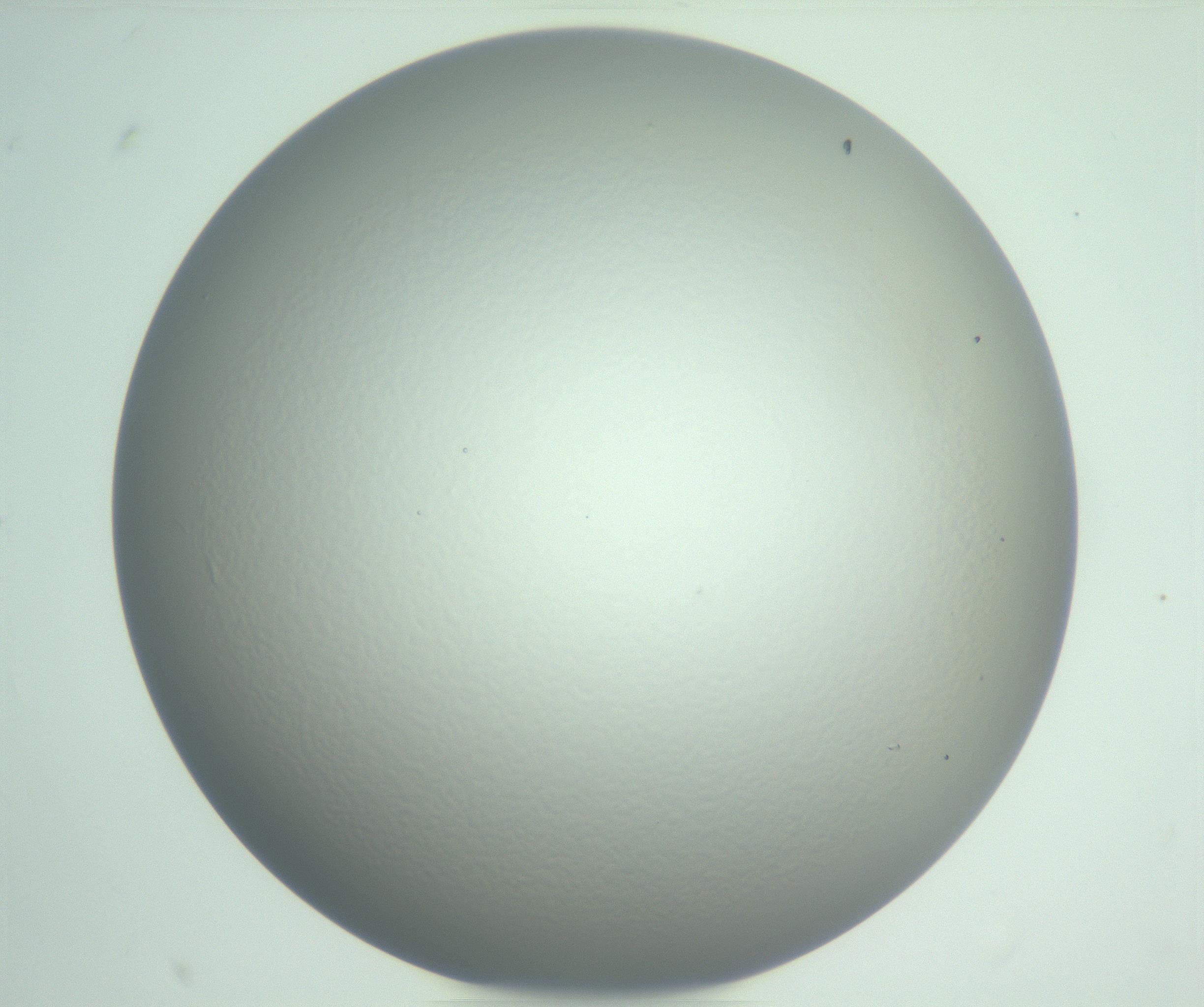 RI01_03_000_0212_Proj1_Clon1_MC_0000MC102976_007_161129_05_08_01_00_99_002_001_RAI.jpg