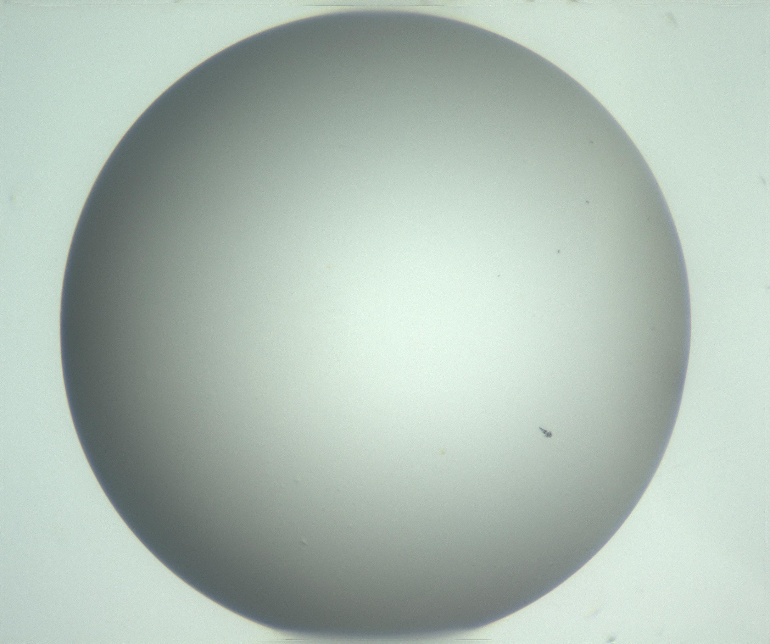 RI01_03_000_0212_Proj1_Clon1_MC_0000MC102976_007_161129_06_01_01_00_99_002_001_RAI.jpg