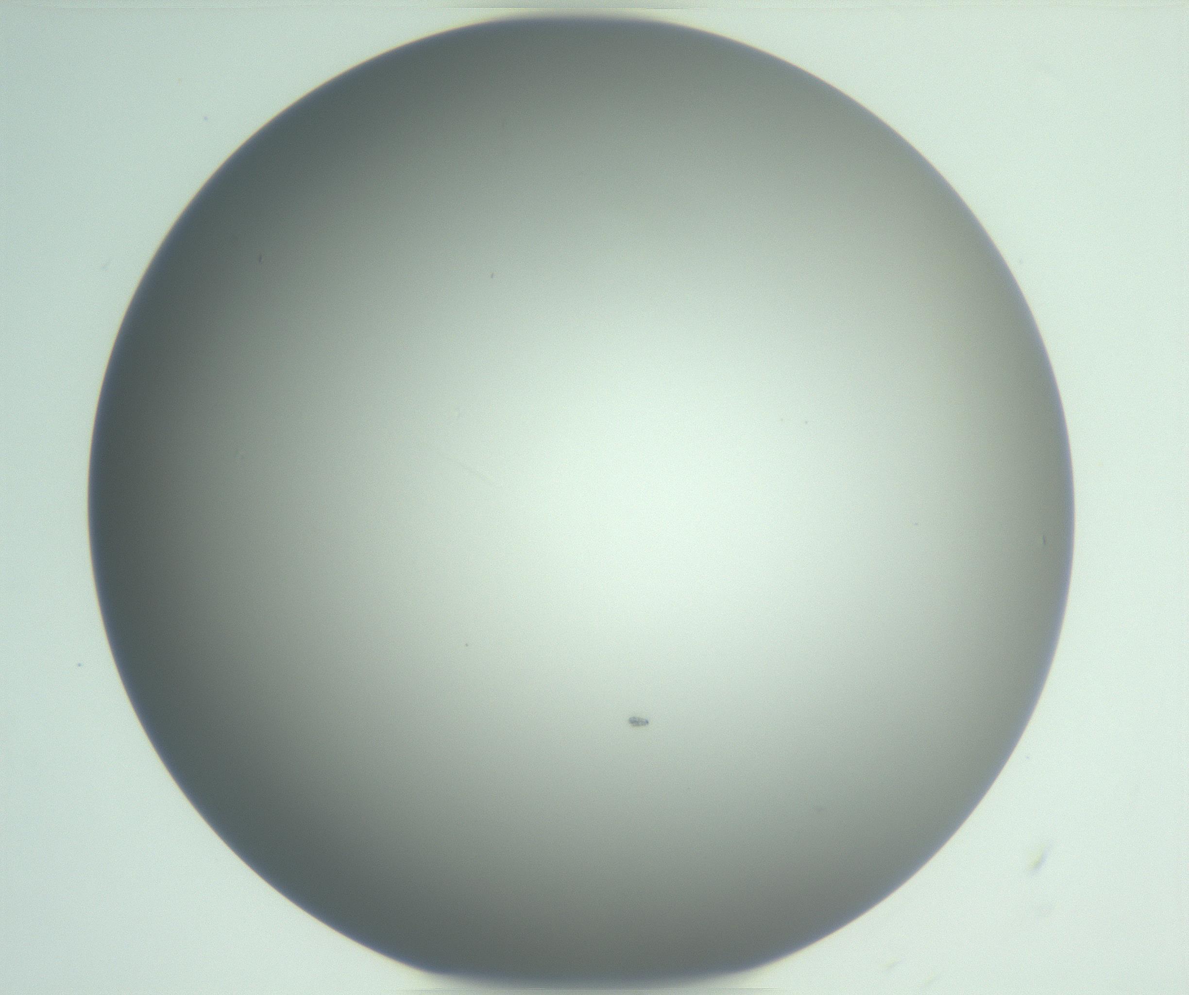 RI01_03_000_0212_Proj1_Clon1_MC_0000MC102976_007_161129_06_02_01_00_99_002_001_RAI.jpg