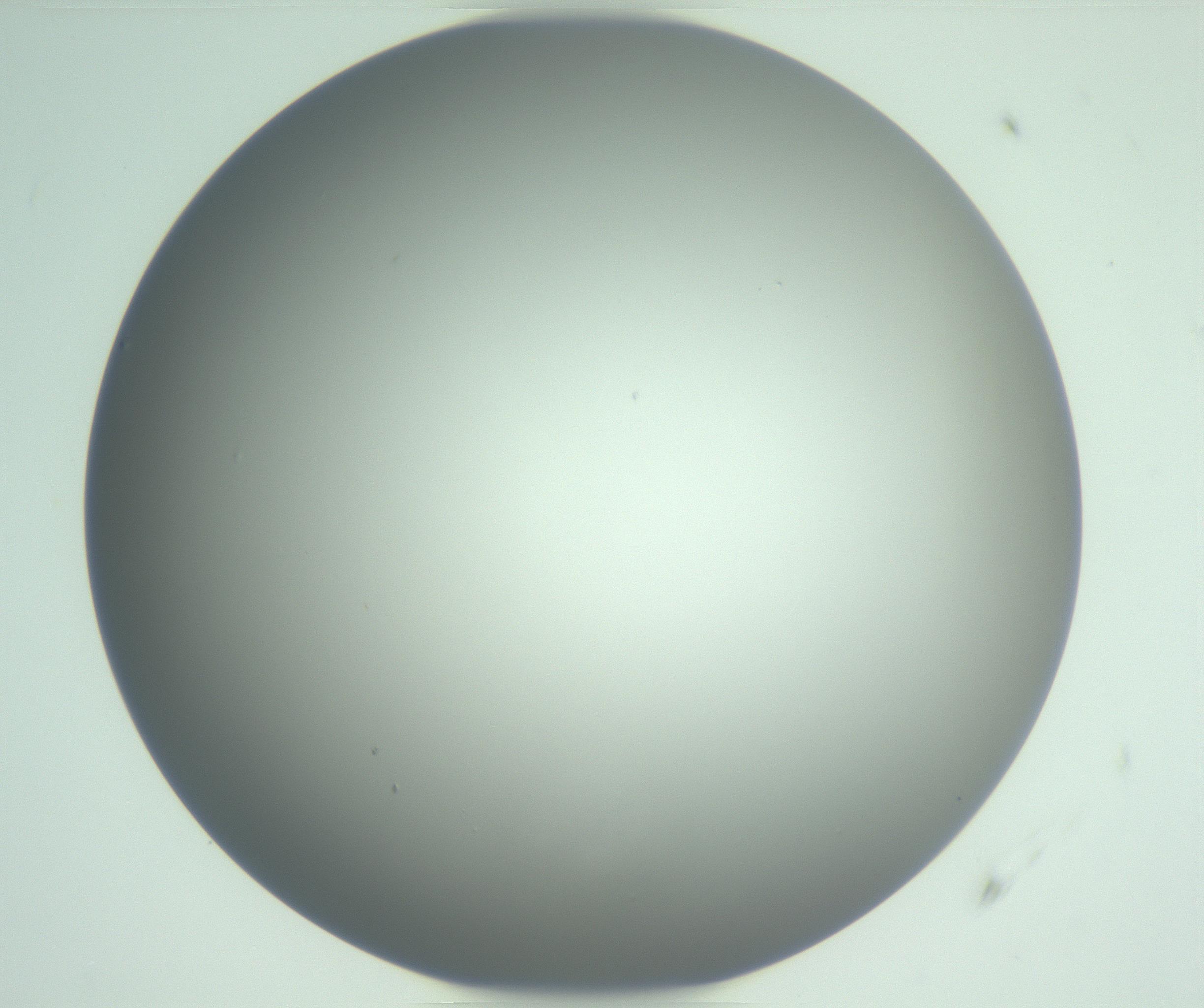 RI01_03_000_0212_Proj1_Clon1_MC_0000MC102976_007_161129_06_04_01_00_99_002_001_RAI.jpg