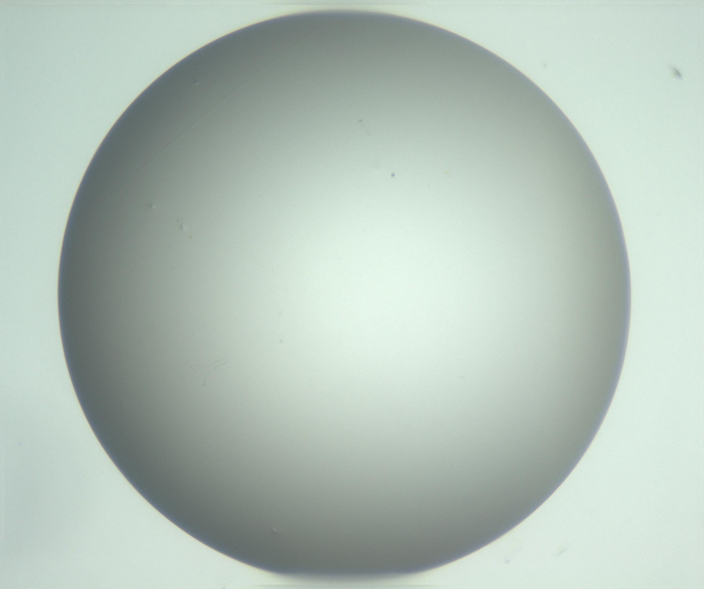 RI01_03_000_0212_Proj1_Clon1_MC_0000MC102976_007_161129_06_05_01_00_99_002_001_RAI.jpg