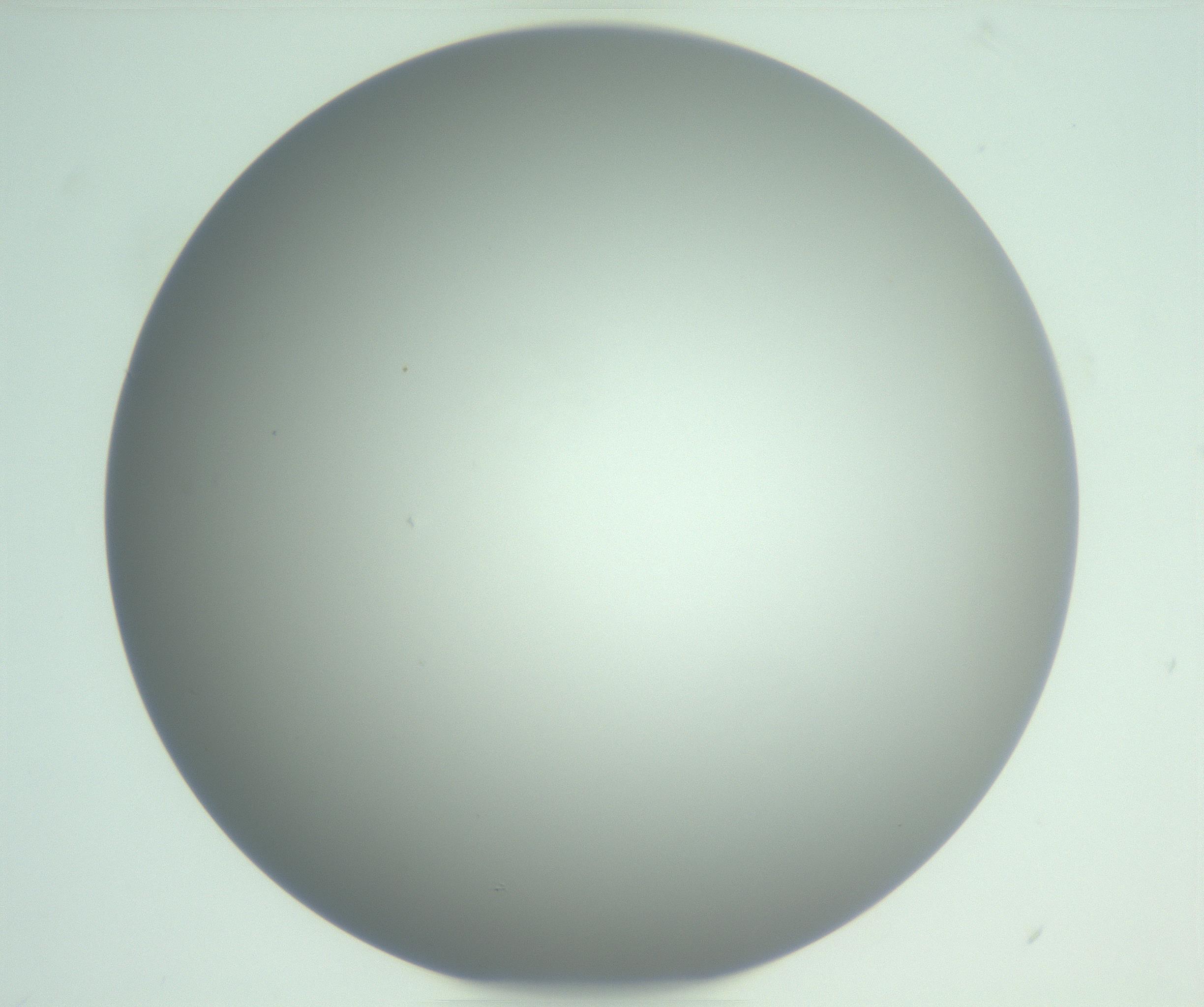 RI01_03_000_0212_Proj1_Clon1_MC_0000MC102976_007_161129_06_06_01_00_99_002_001_RAI.jpg