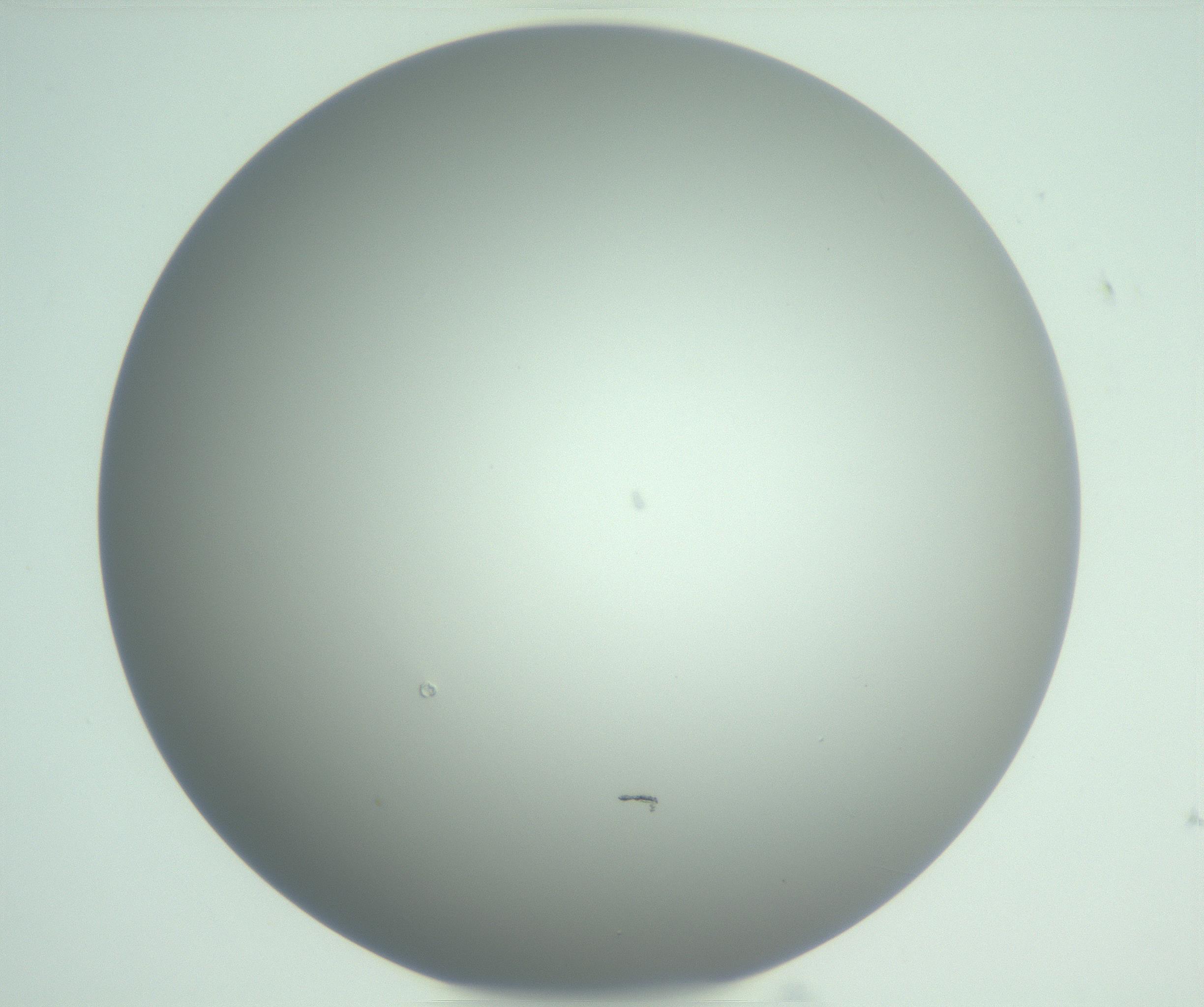 RI01_03_000_0212_Proj1_Clon1_MC_0000MC102976_007_161129_06_07_01_00_99_002_001_RAI.jpg