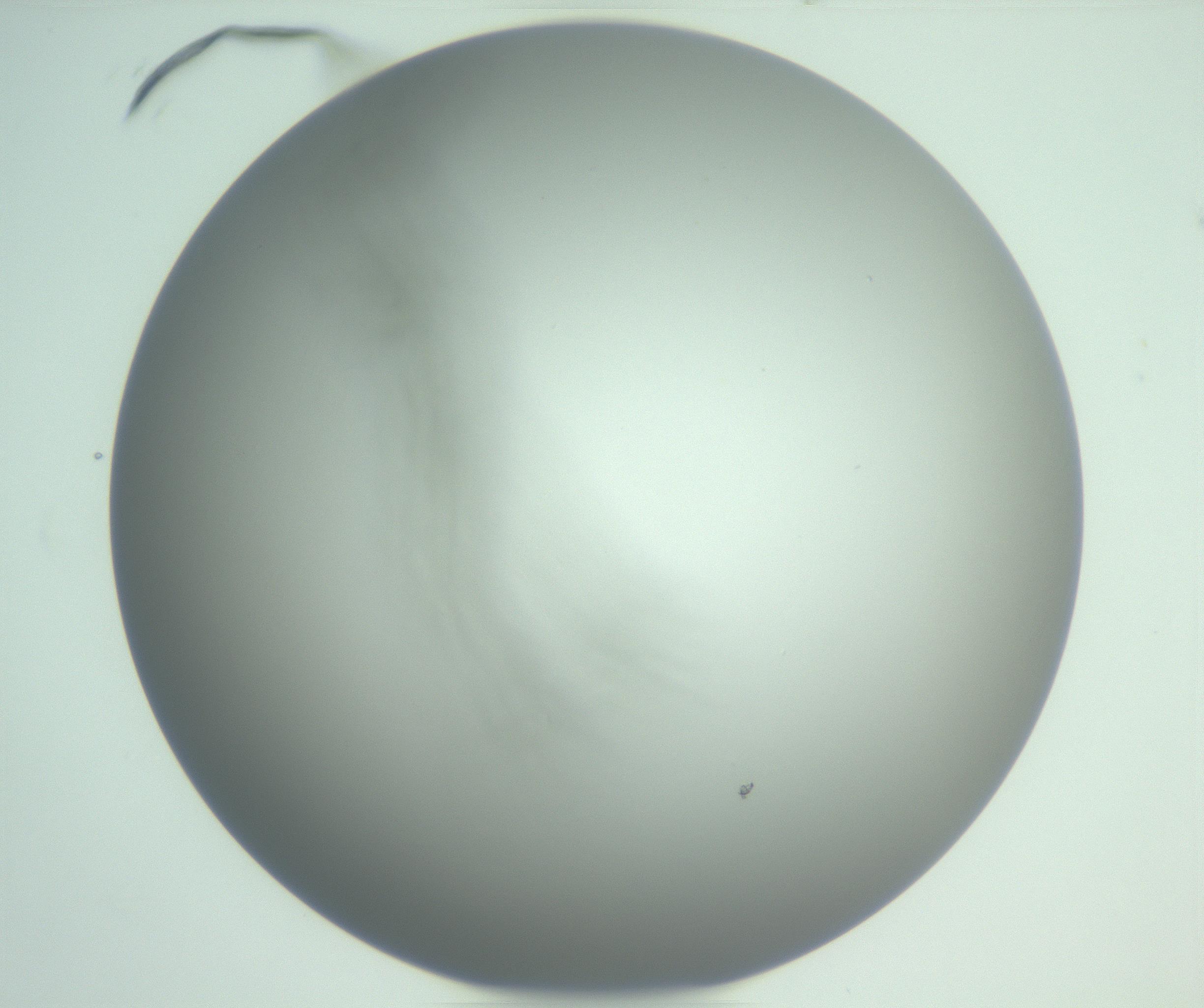 RI01_03_000_0212_Proj1_Clon1_MC_0000MC102976_007_161129_06_08_01_00_99_002_001_RAI.jpg