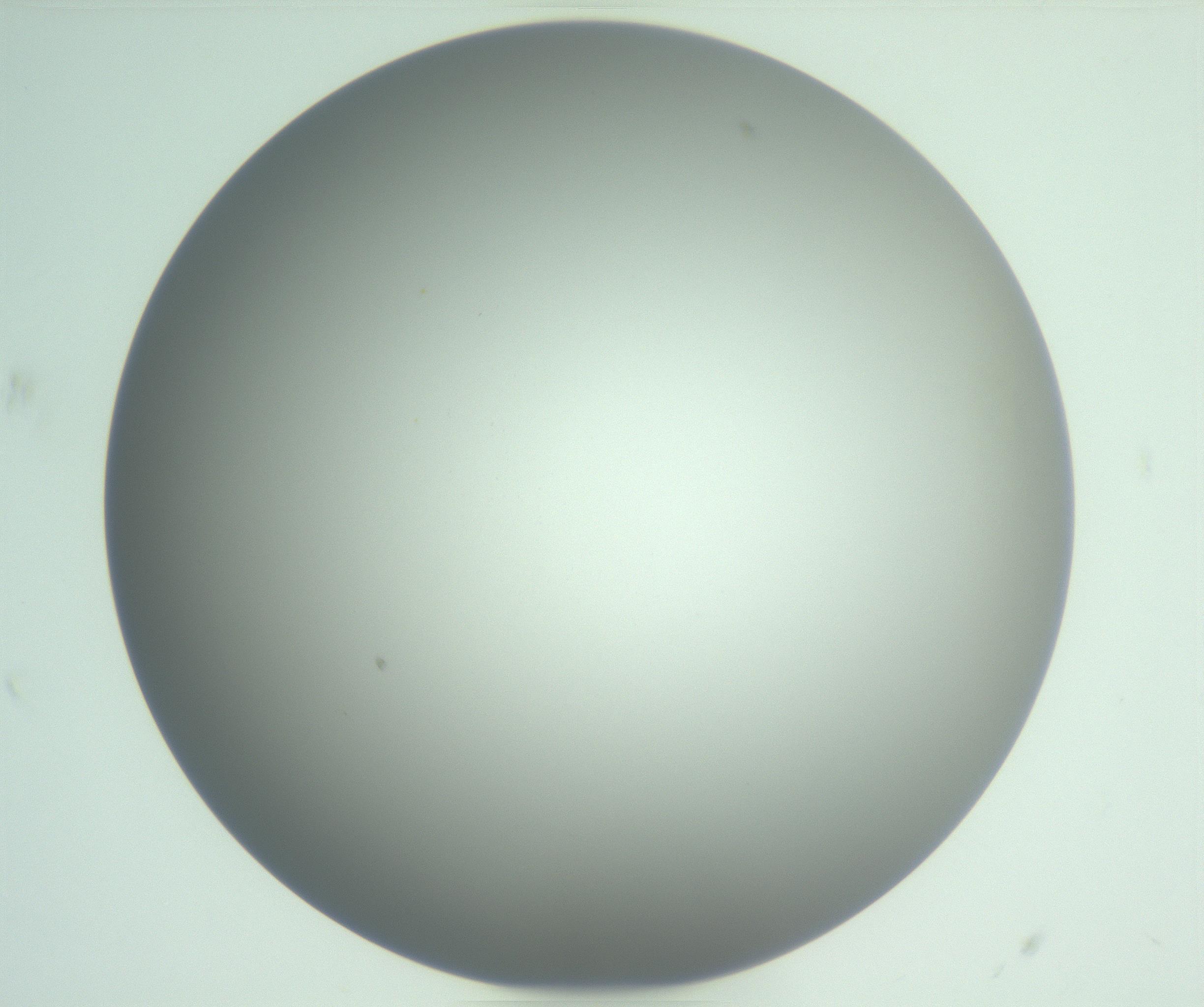 RI01_03_000_0212_Proj1_Clon1_MC_0000MC102976_007_161129_07_02_01_00_99_002_001_RAI.jpg