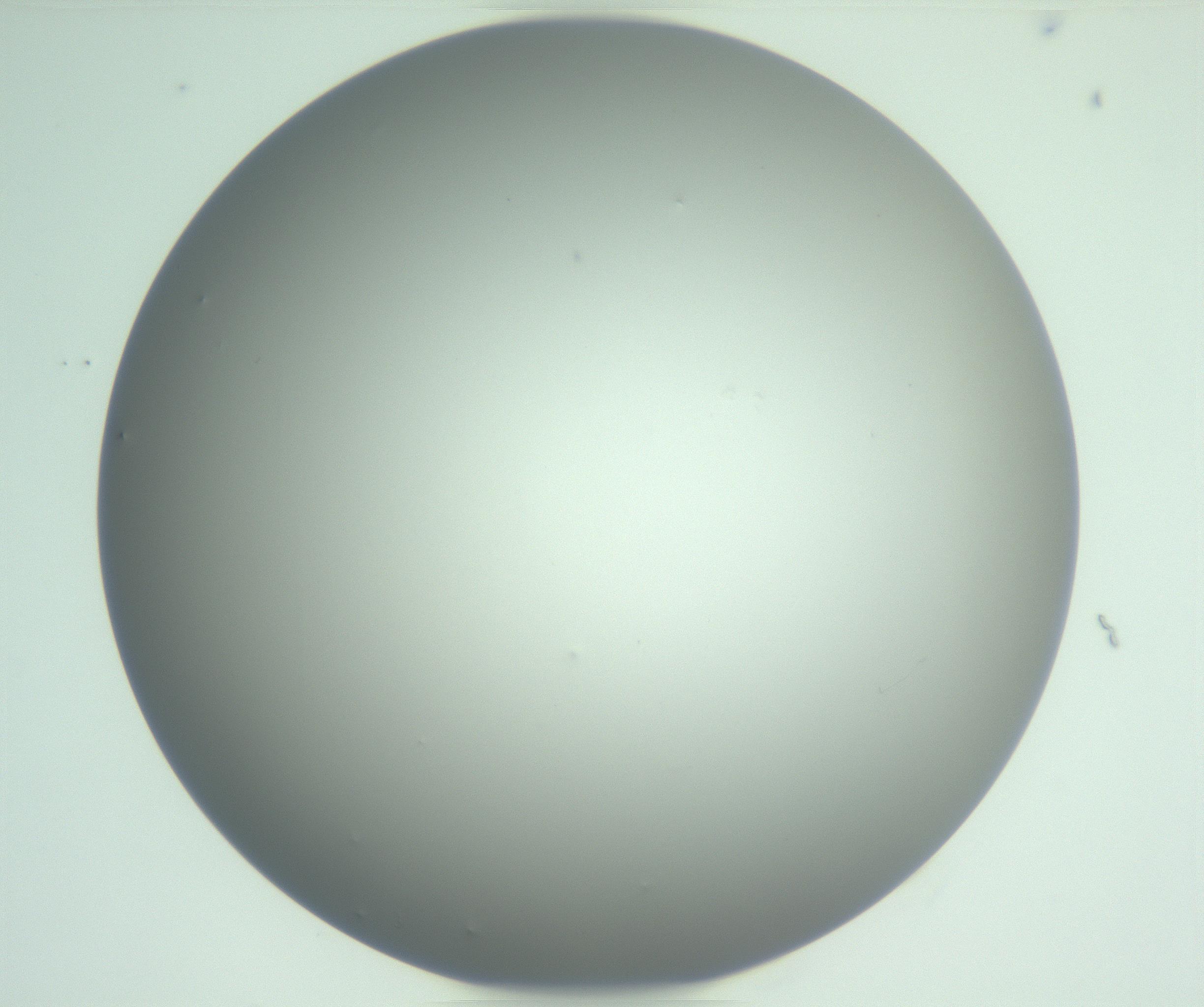RI01_03_000_0212_Proj1_Clon1_MC_0000MC102976_007_161129_07_03_01_00_99_002_001_RAI.jpg