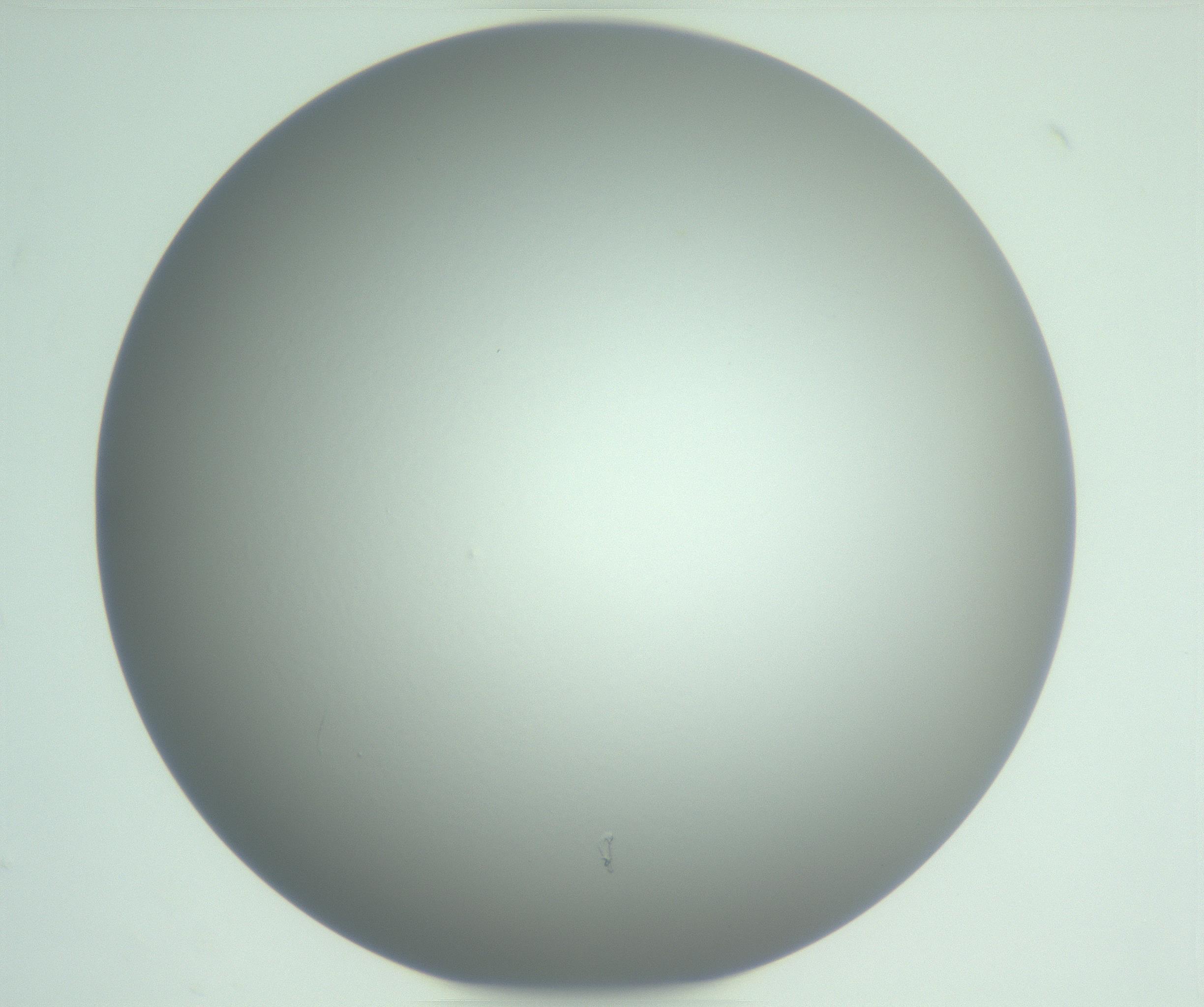 RI01_03_000_0212_Proj1_Clon1_MC_0000MC102976_007_161129_07_04_01_00_99_002_001_RAI.jpg