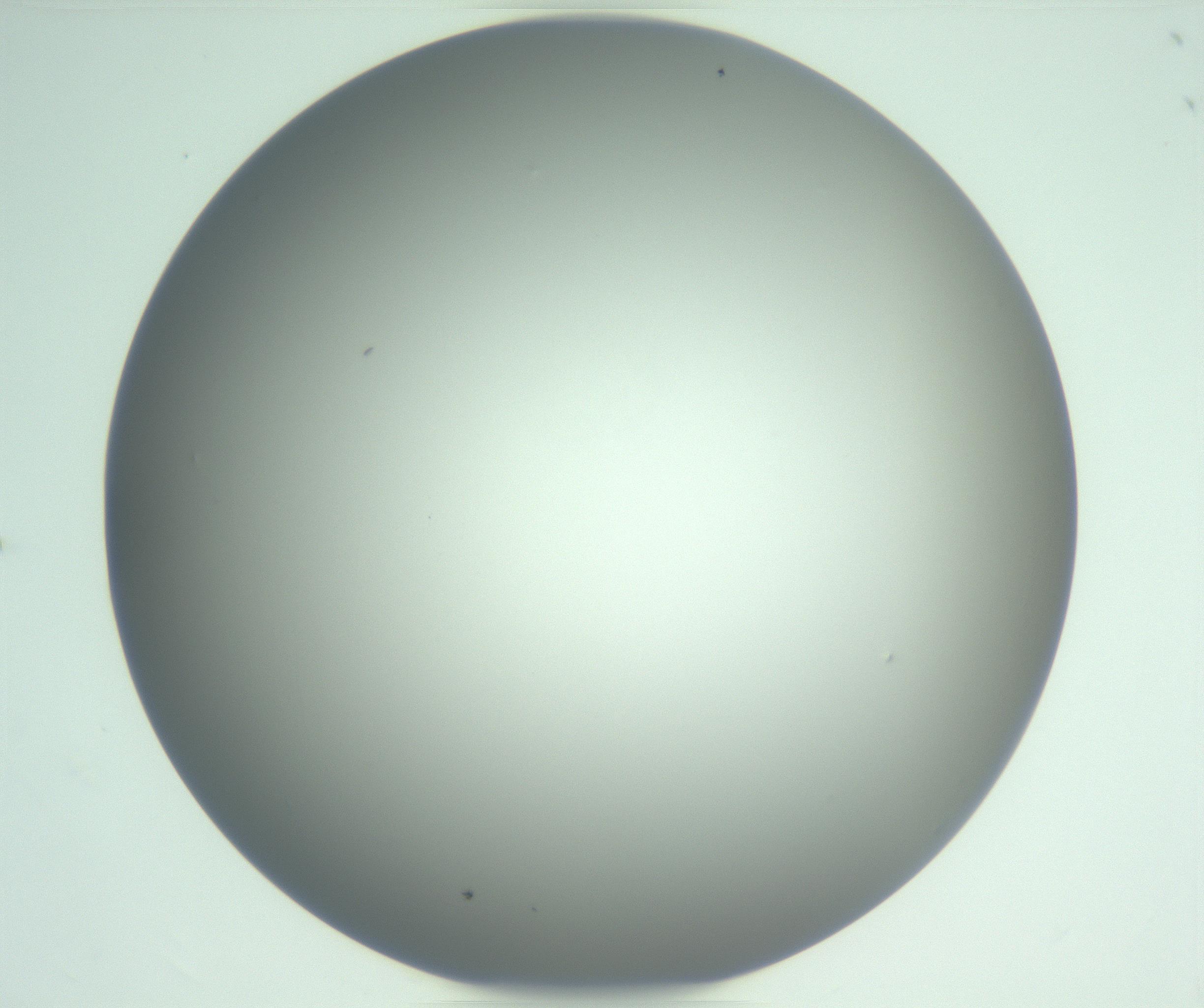 RI01_03_000_0212_Proj1_Clon1_MC_0000MC102976_007_161129_07_05_01_00_99_002_001_RAI.jpg