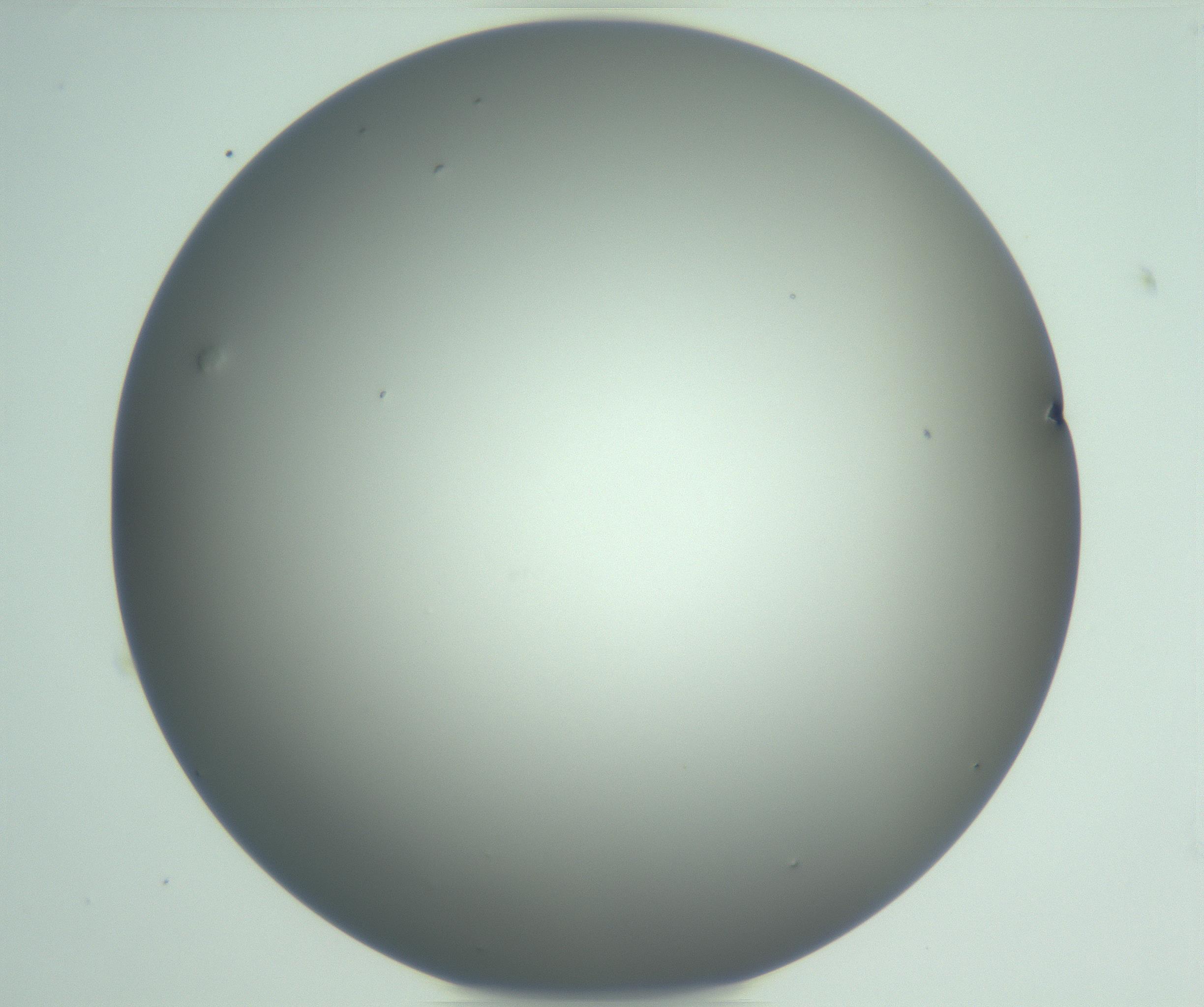 RI01_03_000_0212_Proj1_Clon1_MC_0000MC102976_007_161129_07_07_01_00_99_002_001_RAI.jpg