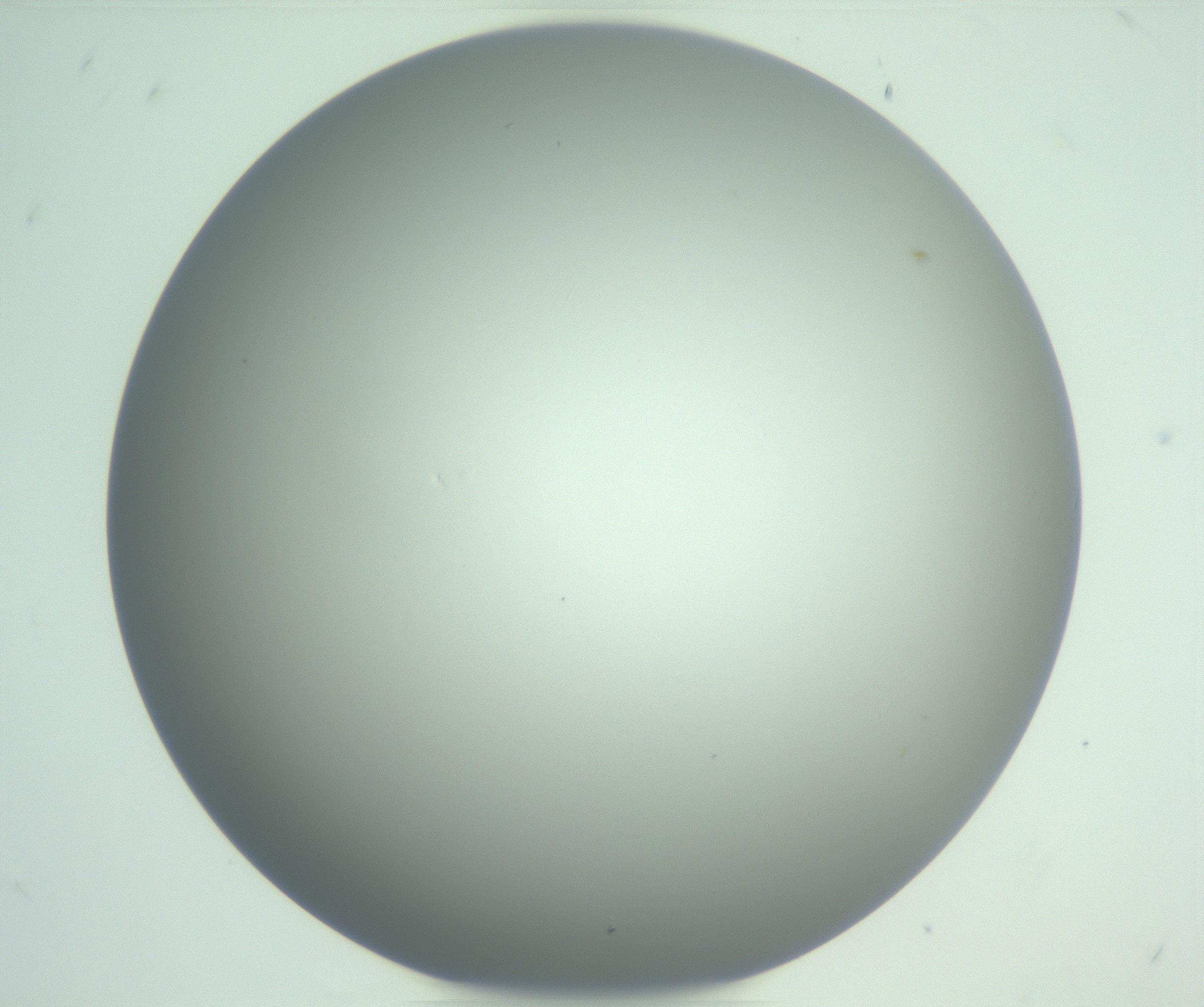 RI01_03_000_0212_Proj1_Clon1_MC_0000MC102976_007_161129_07_08_01_00_99_002_001_RAI.jpg