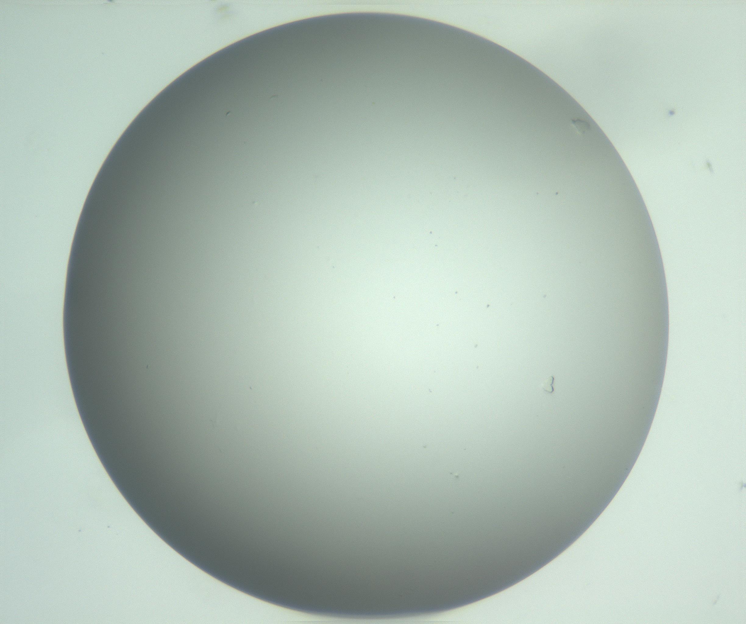 RI01_03_000_0212_Proj1_Clon1_MC_0000MC102976_007_161129_08_01_01_00_99_002_001_RAI.jpg