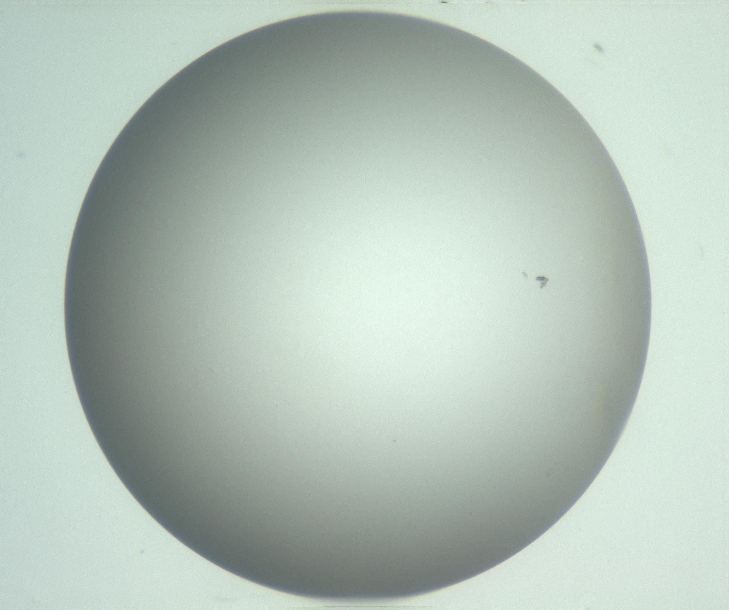 RI01_03_000_0212_Proj1_Clon1_MC_0000MC102976_007_161129_08_02_01_00_99_002_001_RAI.jpg