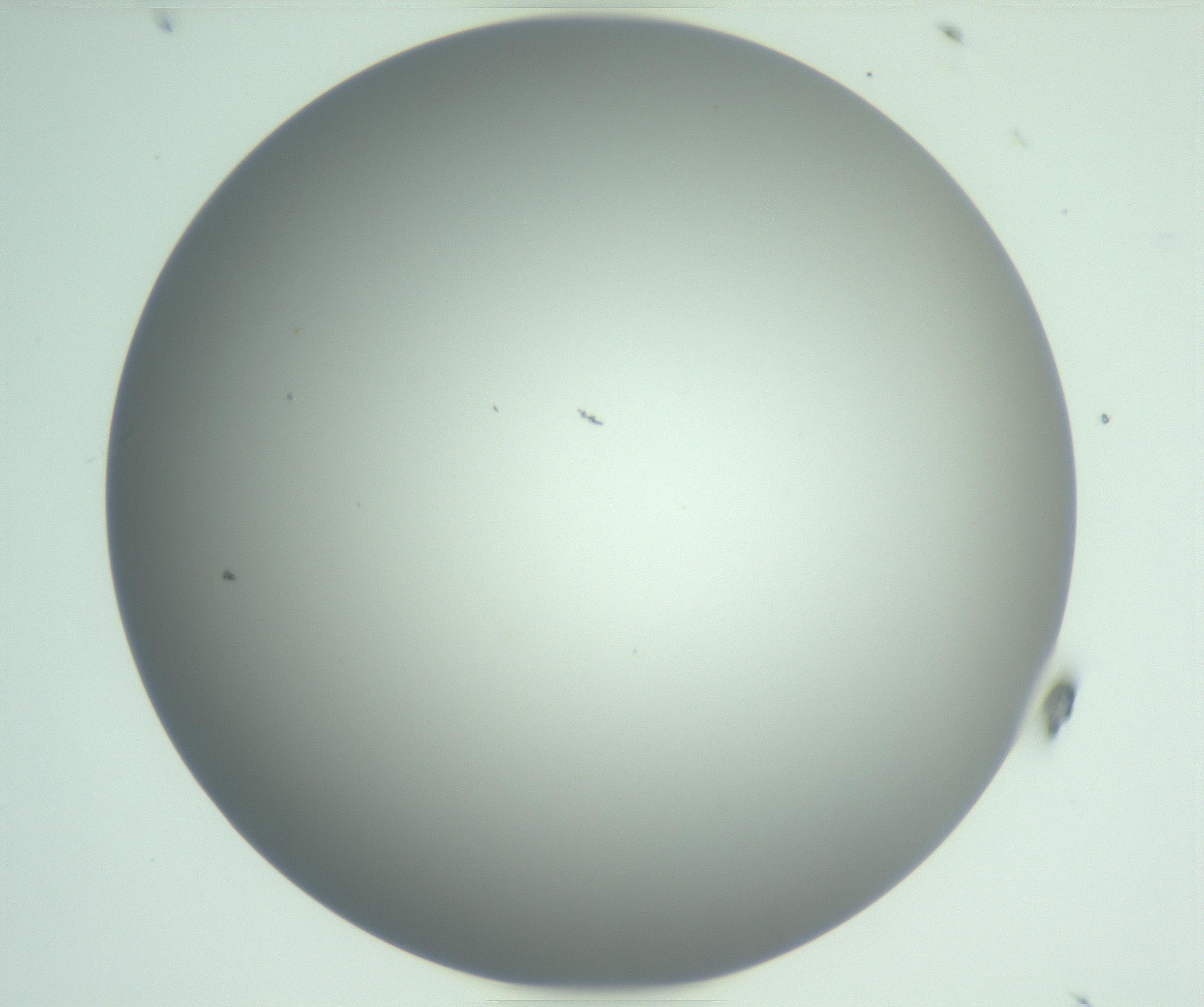 RI01_03_000_0212_Proj1_Clon1_MC_0000MC102976_007_161129_08_03_01_00_99_002_001_RAI.jpg