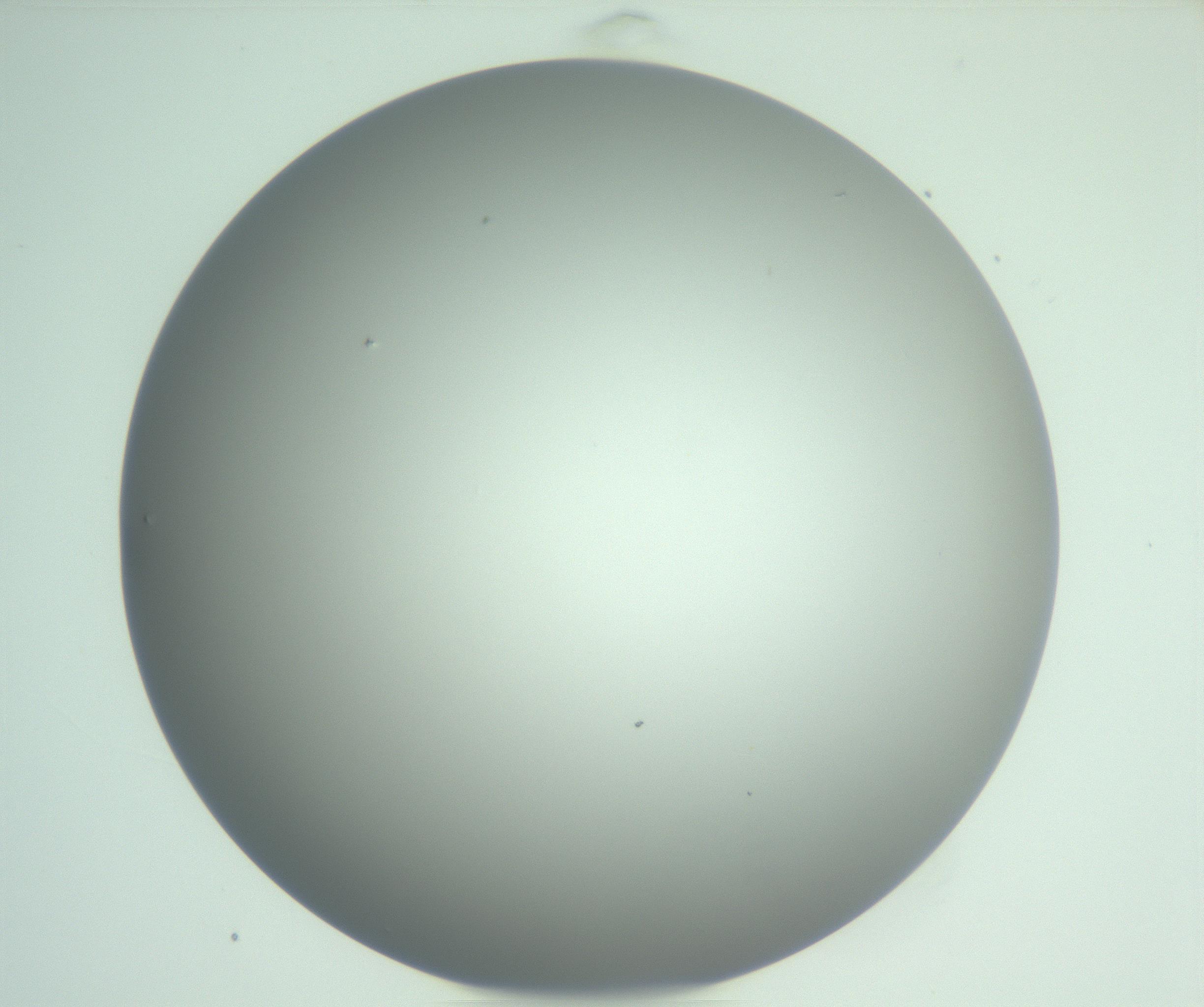 RI01_03_000_0212_Proj1_Clon1_MC_0000MC102976_007_161129_08_04_01_00_99_002_001_RAI.jpg