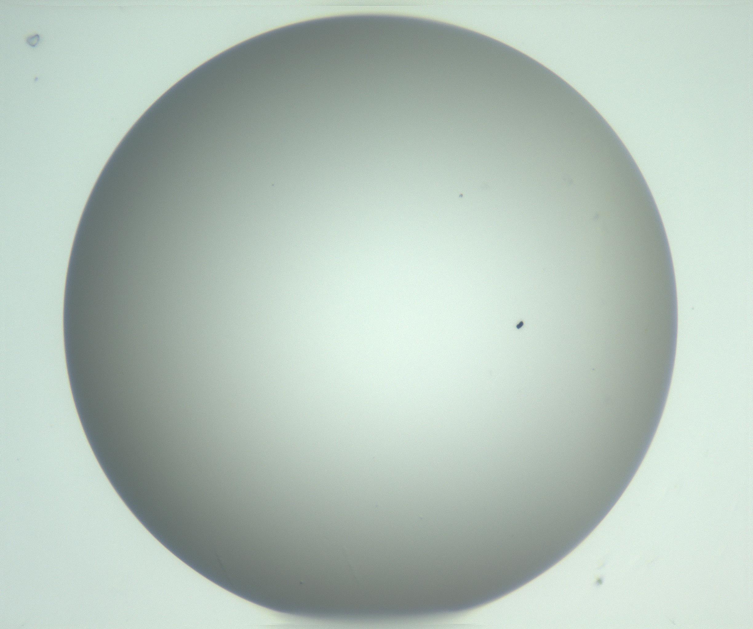 RI01_03_000_0212_Proj1_Clon1_MC_0000MC102976_007_161129_08_05_01_00_99_002_001_RAI.jpg