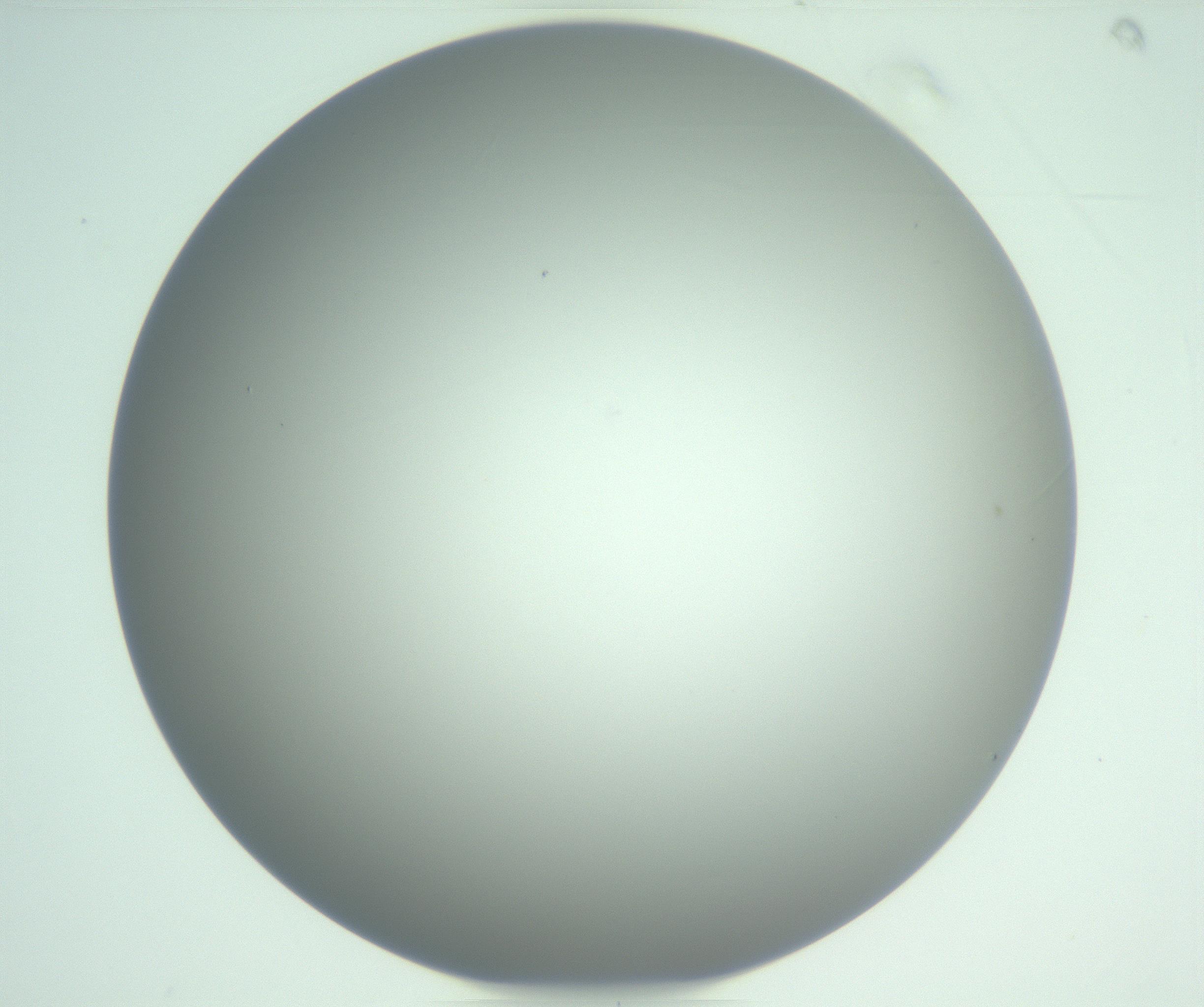 RI01_03_000_0212_Proj1_Clon1_MC_0000MC102976_007_161129_08_06_01_00_99_002_001_RAI.jpg