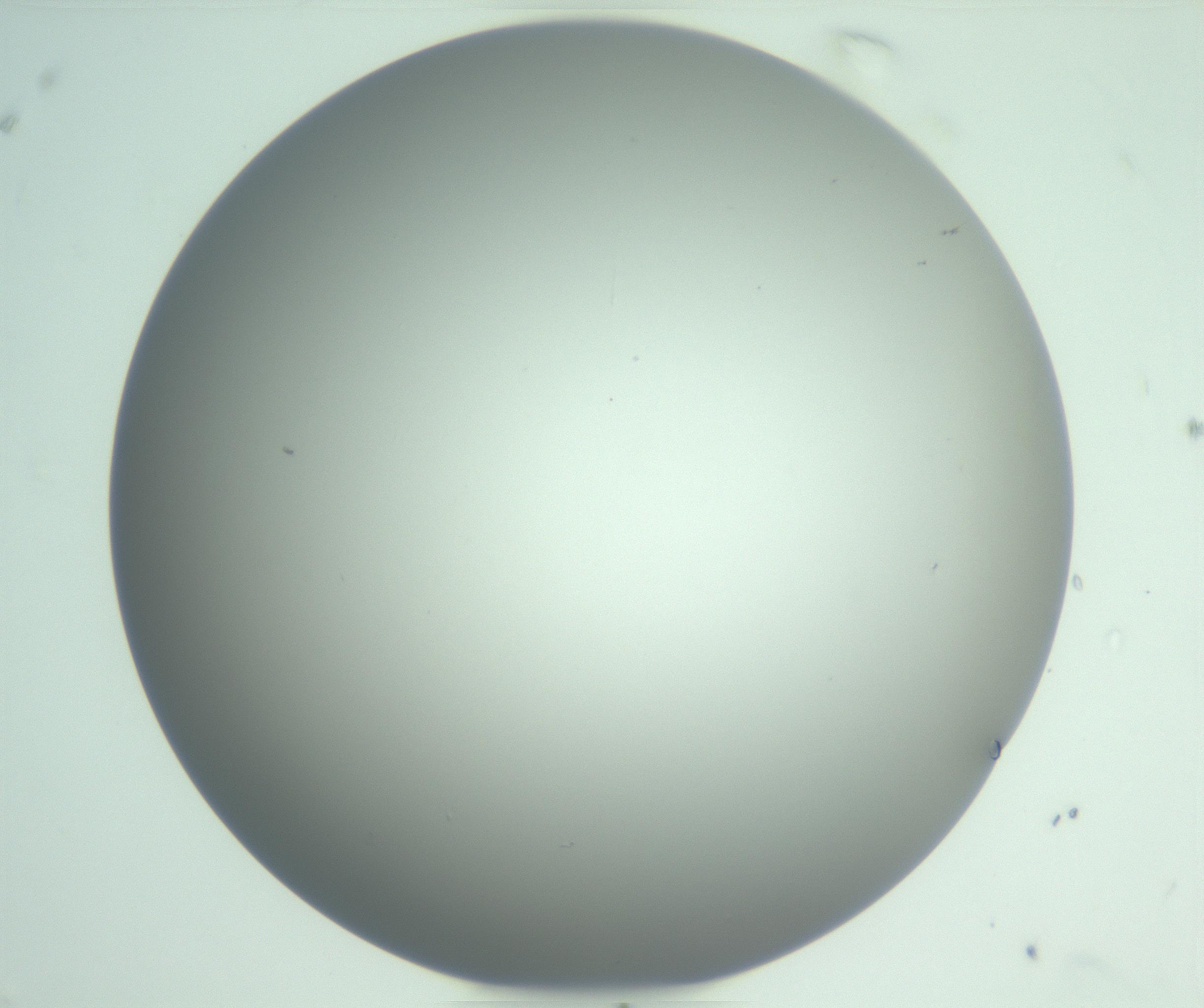 RI01_03_000_0212_Proj1_Clon1_MC_0000MC102976_007_161129_08_07_01_00_99_002_001_RAI.jpg