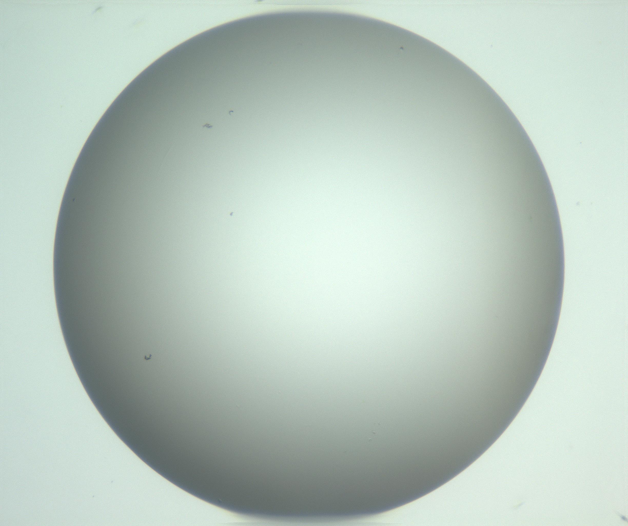 RI01_03_000_0212_Proj1_Clon1_MC_0000MC102976_007_161129_08_08_01_00_99_002_001_RAI.jpg