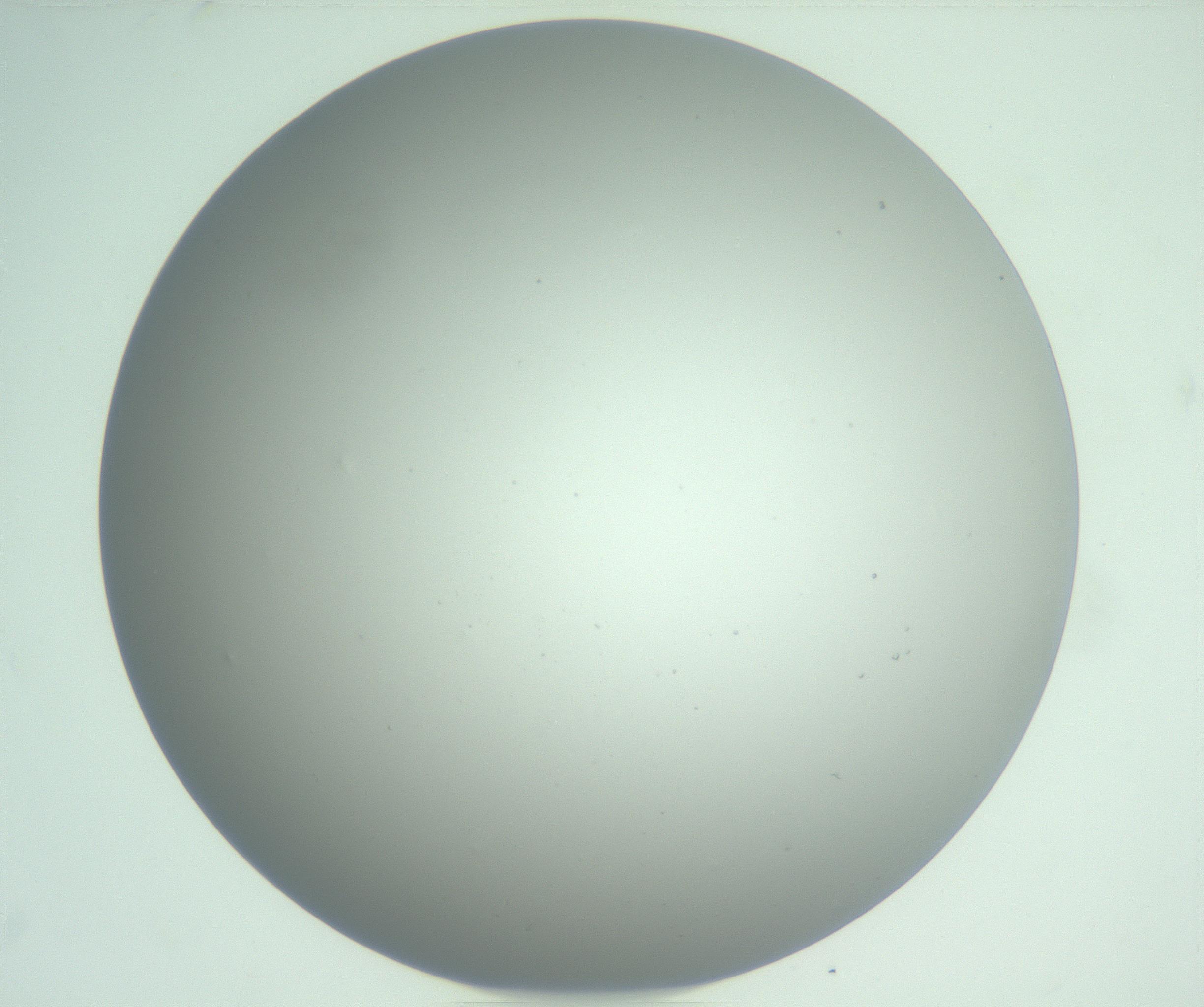 RI01_03_000_0212_Proj1_Clon1_MC_0000MC102976_007_161129_09_01_01_00_99_002_001_RAI.jpg