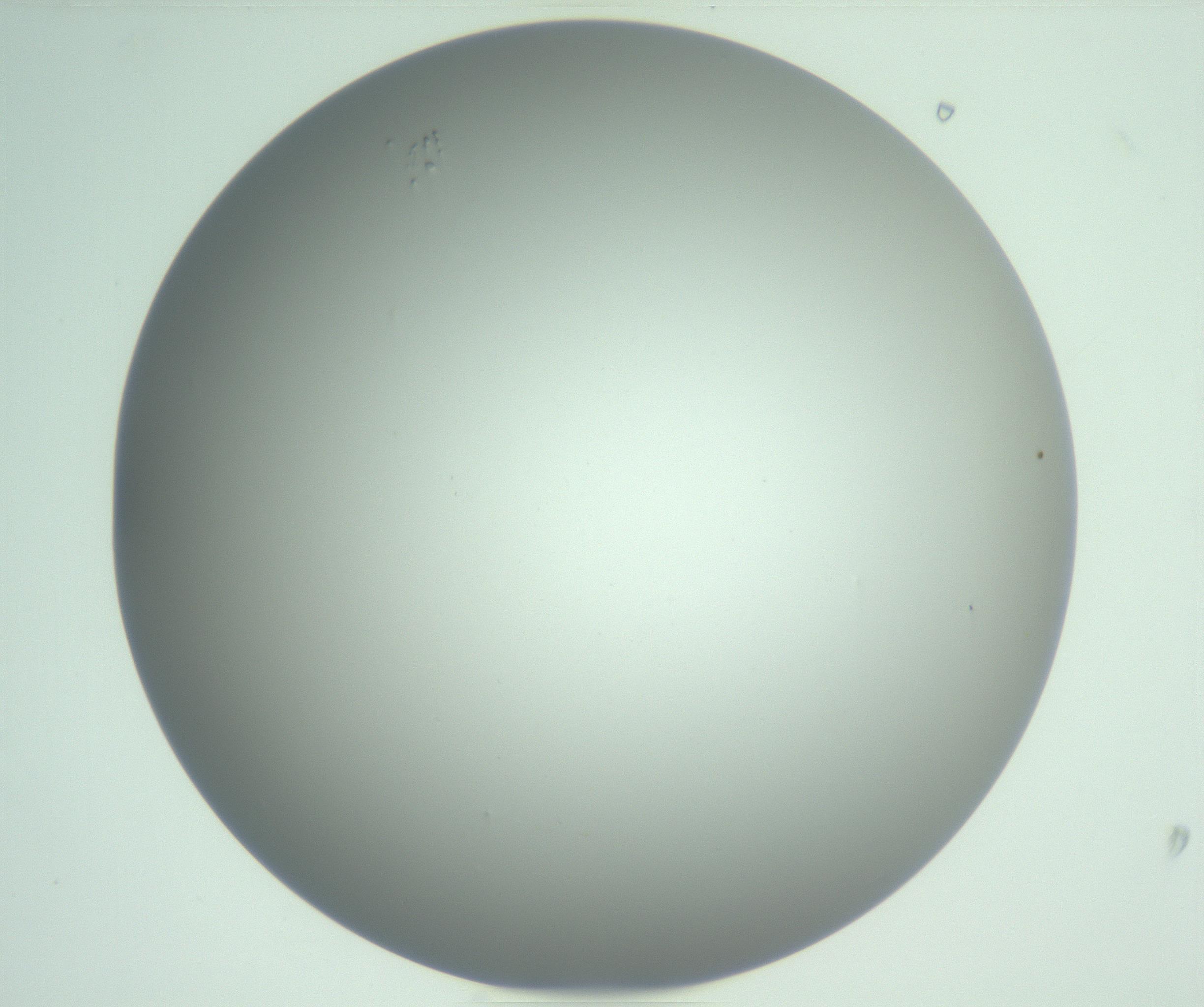 RI01_03_000_0212_Proj1_Clon1_MC_0000MC102976_007_161129_09_02_01_00_99_002_001_RAI.jpg