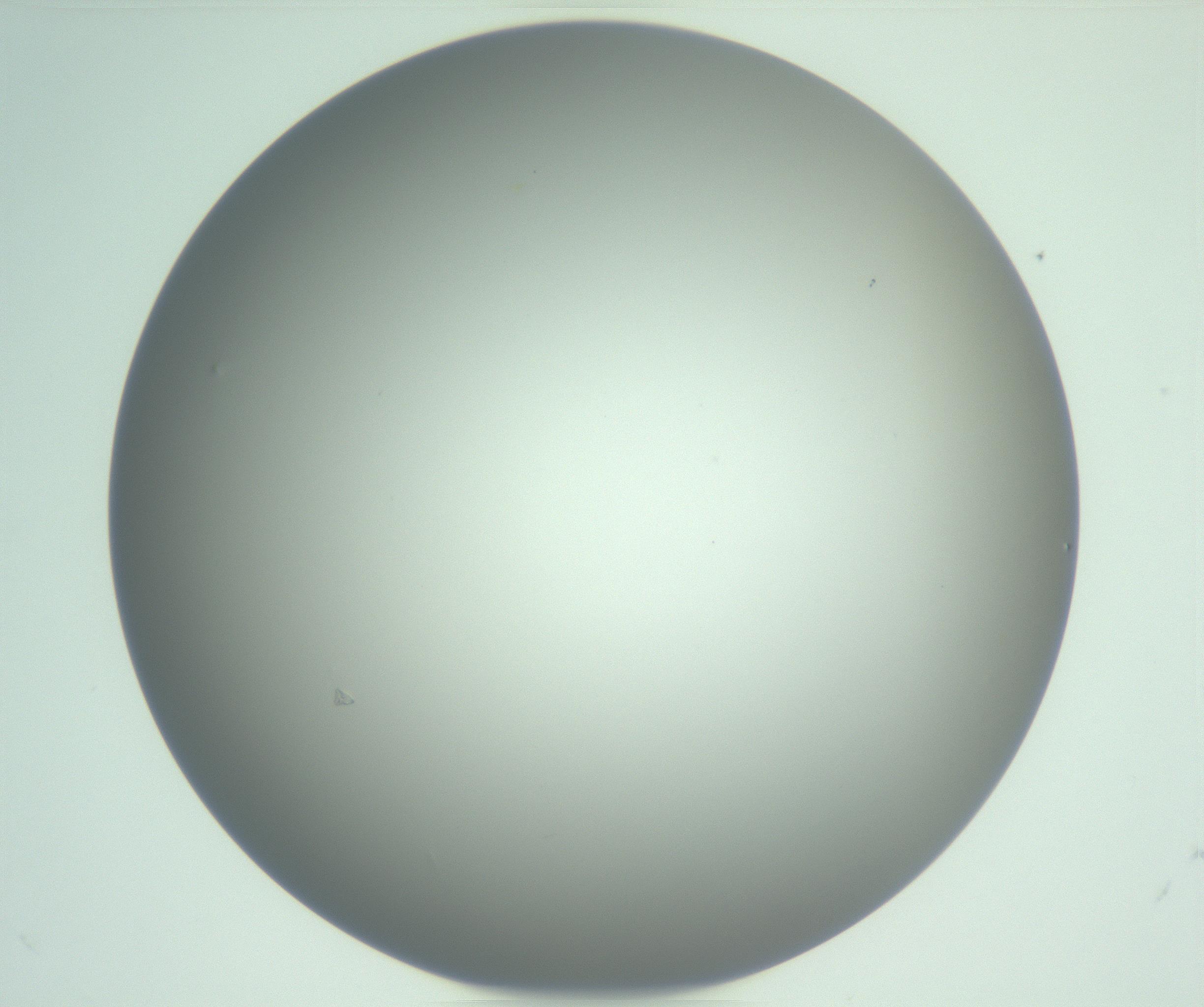 RI01_03_000_0212_Proj1_Clon1_MC_0000MC102976_007_161129_09_03_01_00_99_002_001_RAI.jpg