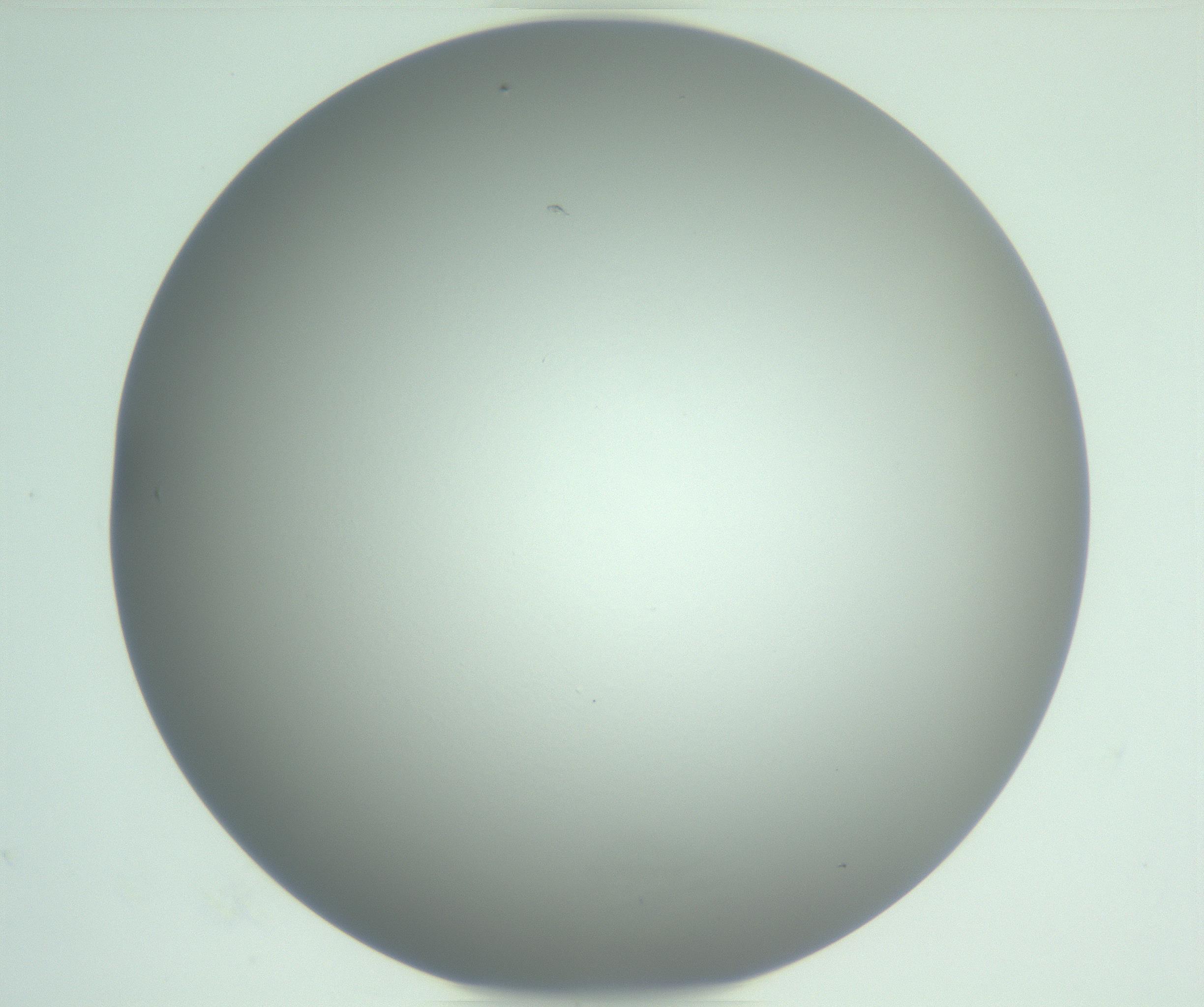 RI01_03_000_0212_Proj1_Clon1_MC_0000MC102976_007_161129_09_04_01_00_99_002_001_RAI.jpg