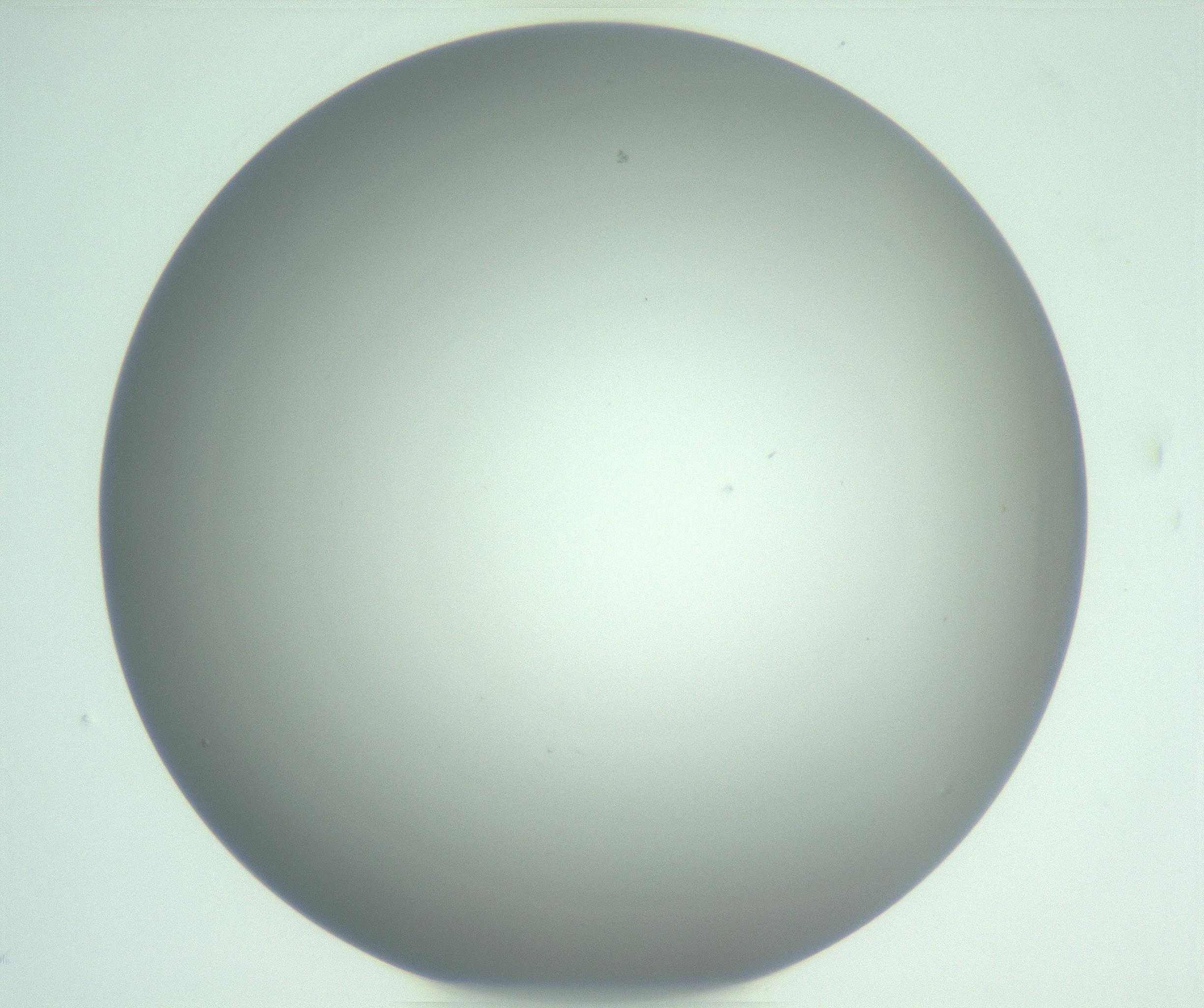 RI01_03_000_0212_Proj1_Clon1_MC_0000MC102976_007_161129_09_05_01_00_99_002_001_RAI.jpg