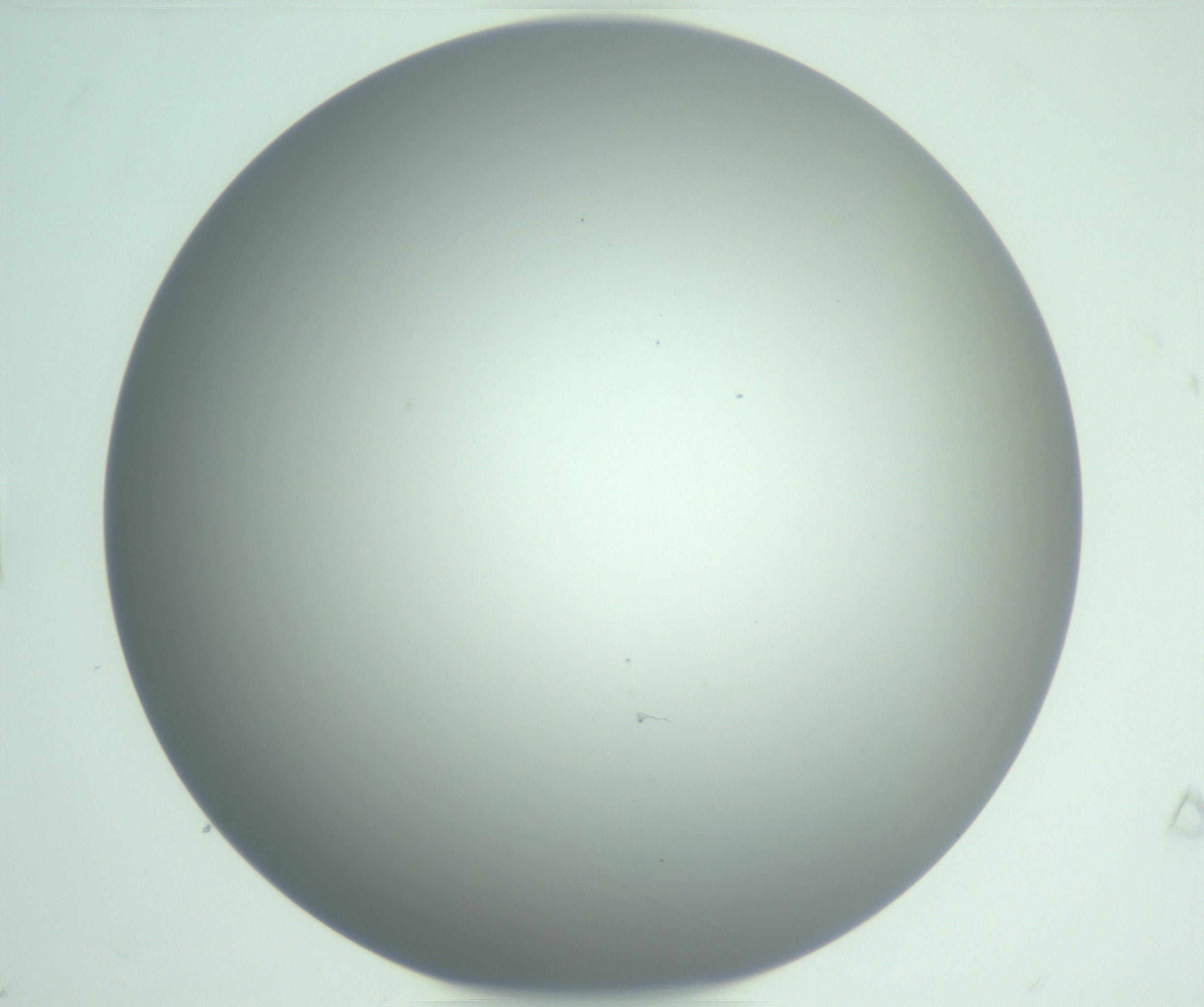 RI01_03_000_0212_Proj1_Clon1_MC_0000MC102976_007_161129_09_07_01_00_99_002_001_RAI.jpg