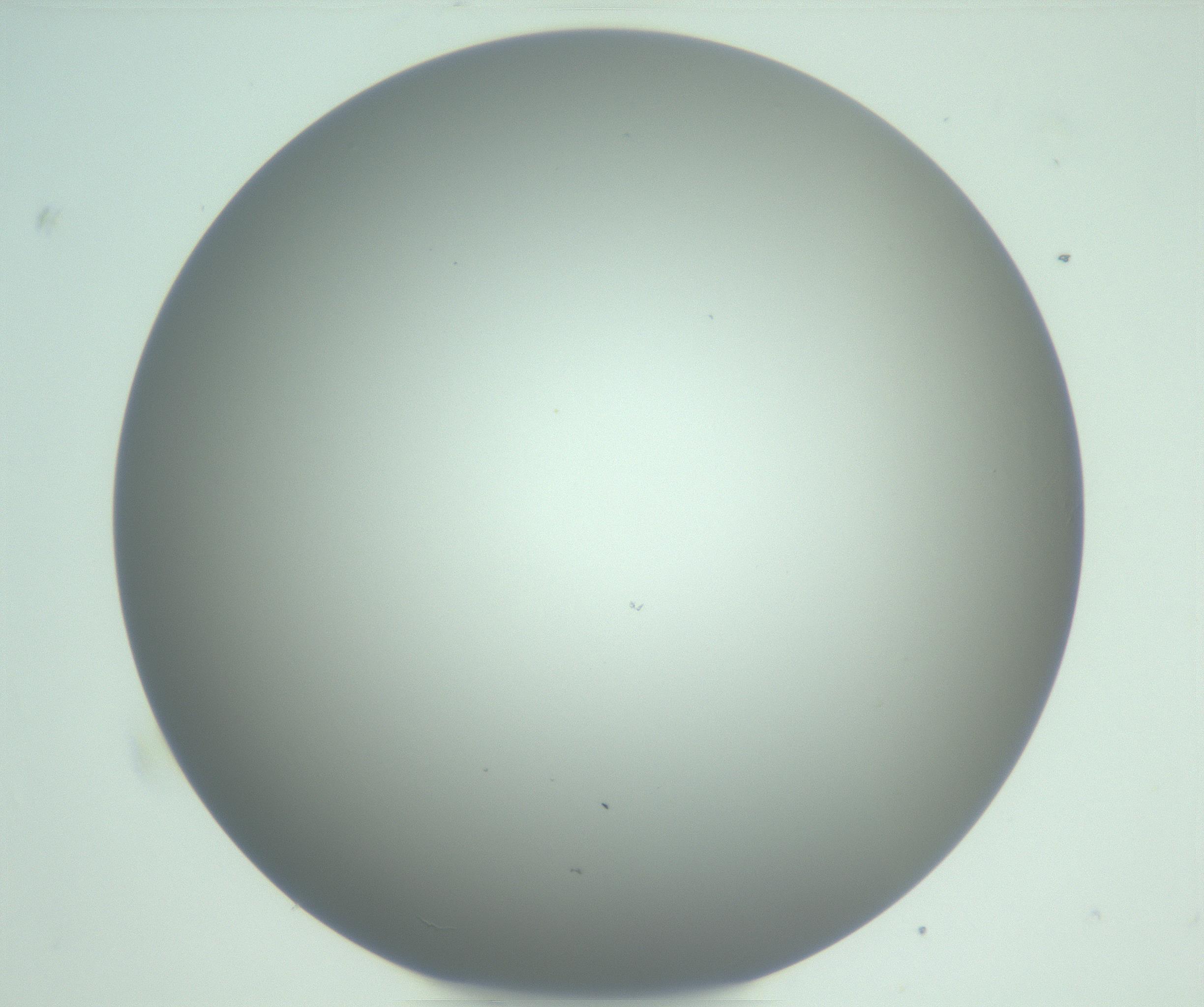 RI01_03_000_0212_Proj1_Clon1_MC_0000MC102976_007_161129_09_08_01_00_99_002_001_RAI.jpg