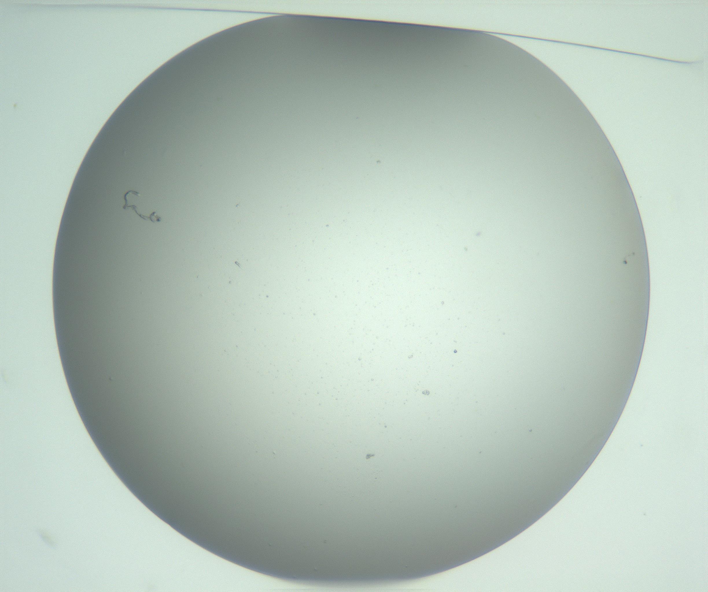 RI01_03_000_0212_Proj1_Clon1_MC_0000MC102976_007_161129_10_01_01_00_99_002_001_RAI.jpg