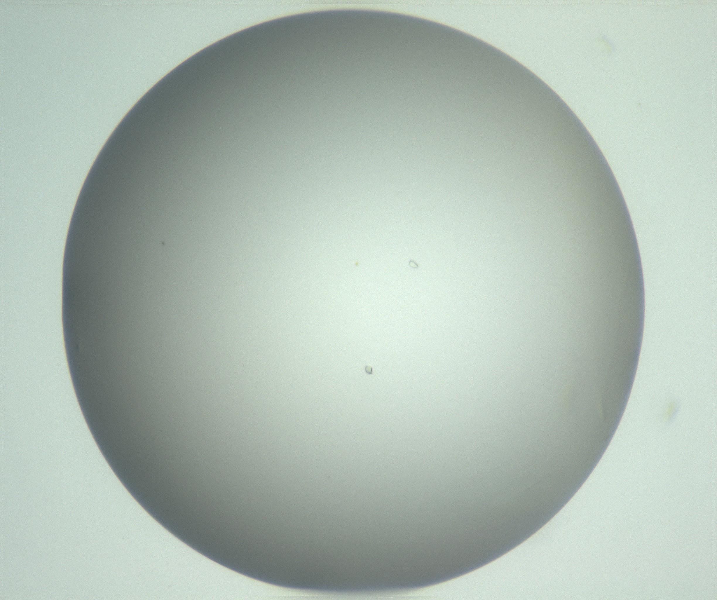RI01_03_000_0212_Proj1_Clon1_MC_0000MC102976_007_161129_10_03_01_00_99_002_001_RAI.jpg