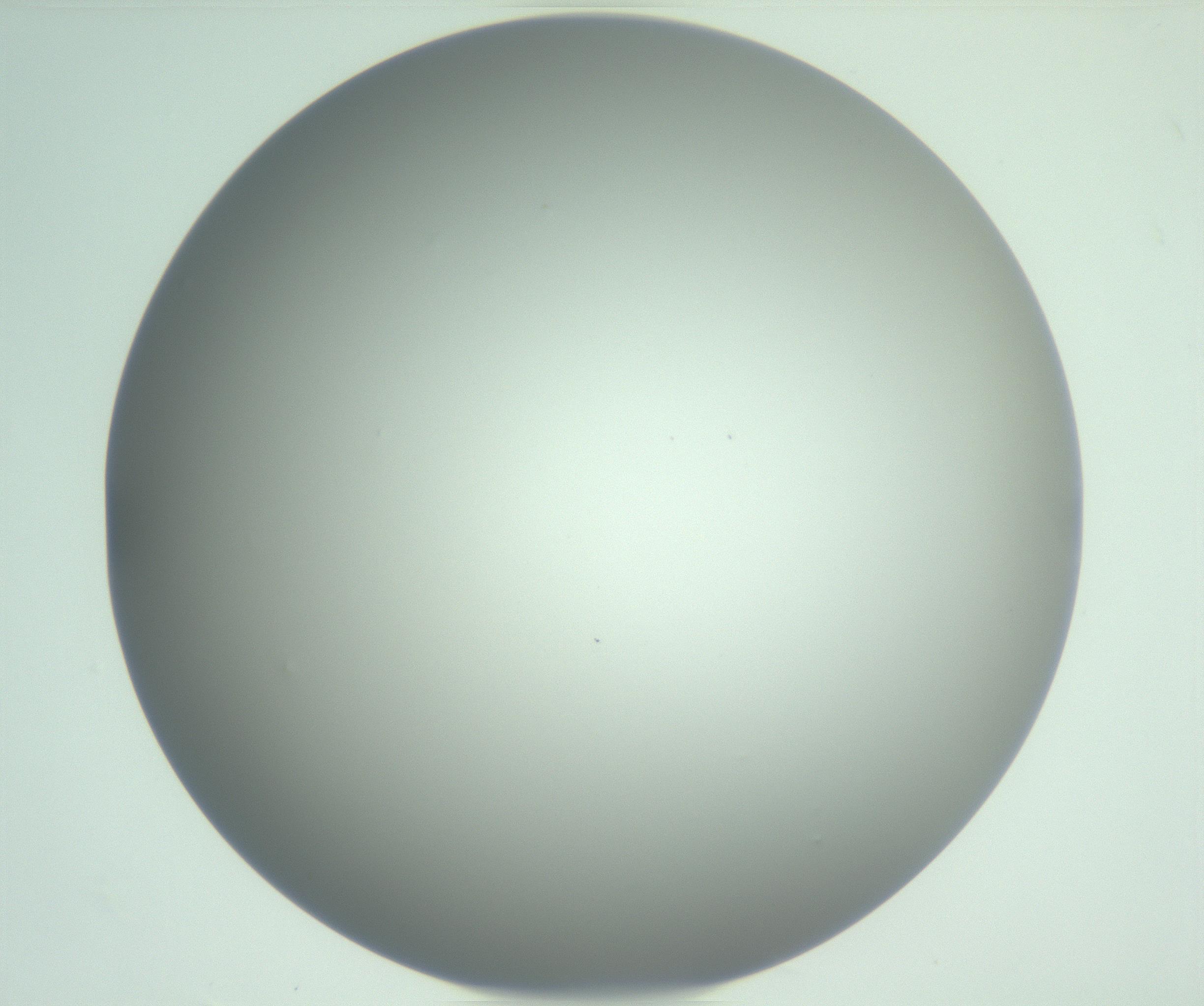 RI01_03_000_0212_Proj1_Clon1_MC_0000MC102976_007_161129_10_04_01_00_99_002_001_RAI.jpg