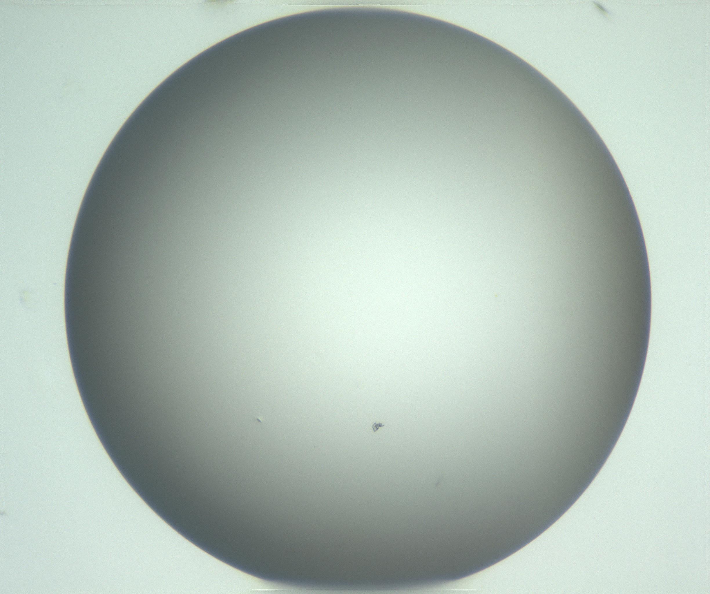 RI01_03_000_0212_Proj1_Clon1_MC_0000MC102976_007_161129_10_05_01_00_99_002_001_RAI.jpg