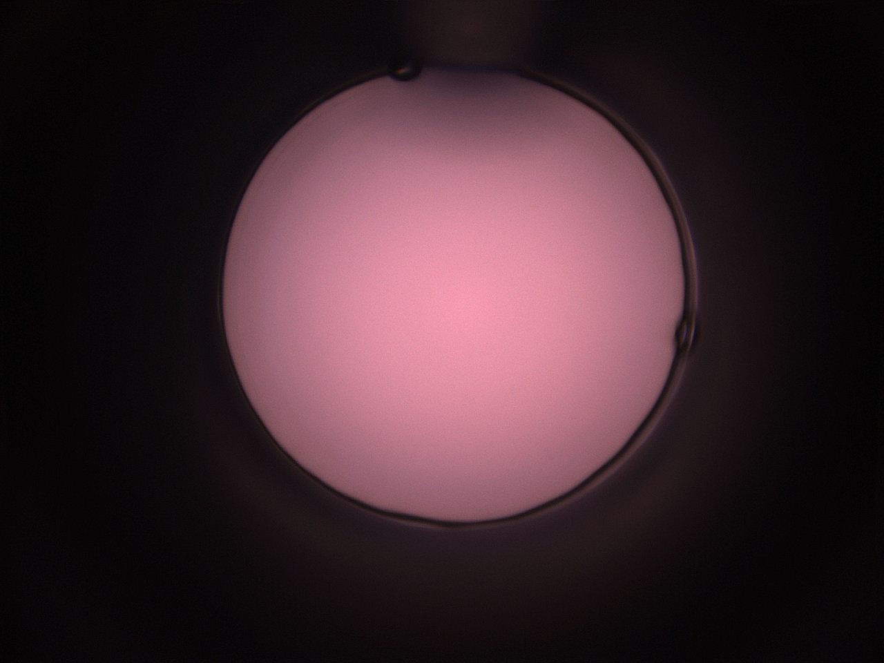 05i4_K9_ImagerDefaults_1.jpg