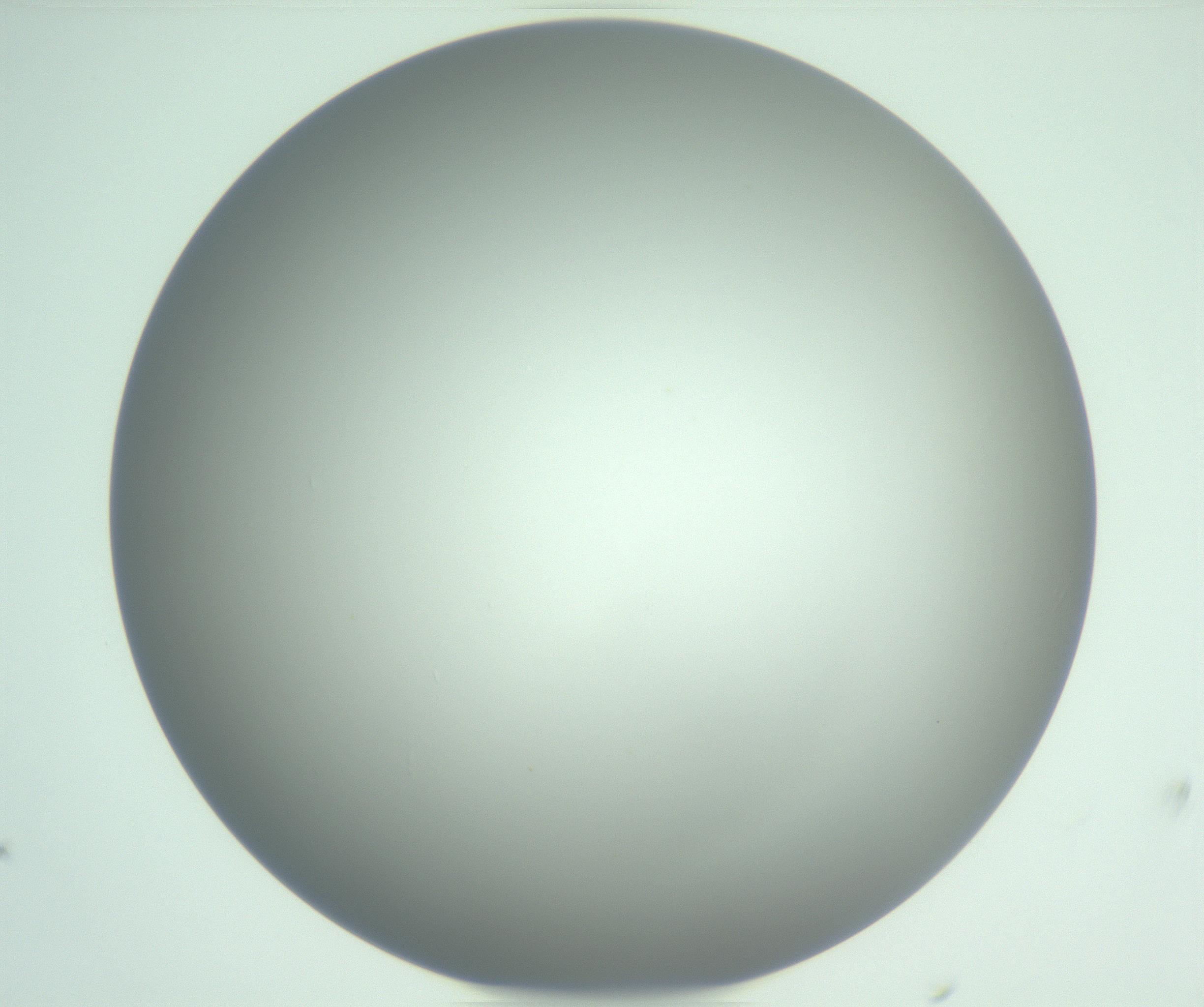 RI01_03_000_0212_Proj1_Clon1_MC_0000MC102976_007_161129_10_06_01_00_99_002_001_RAI.jpg