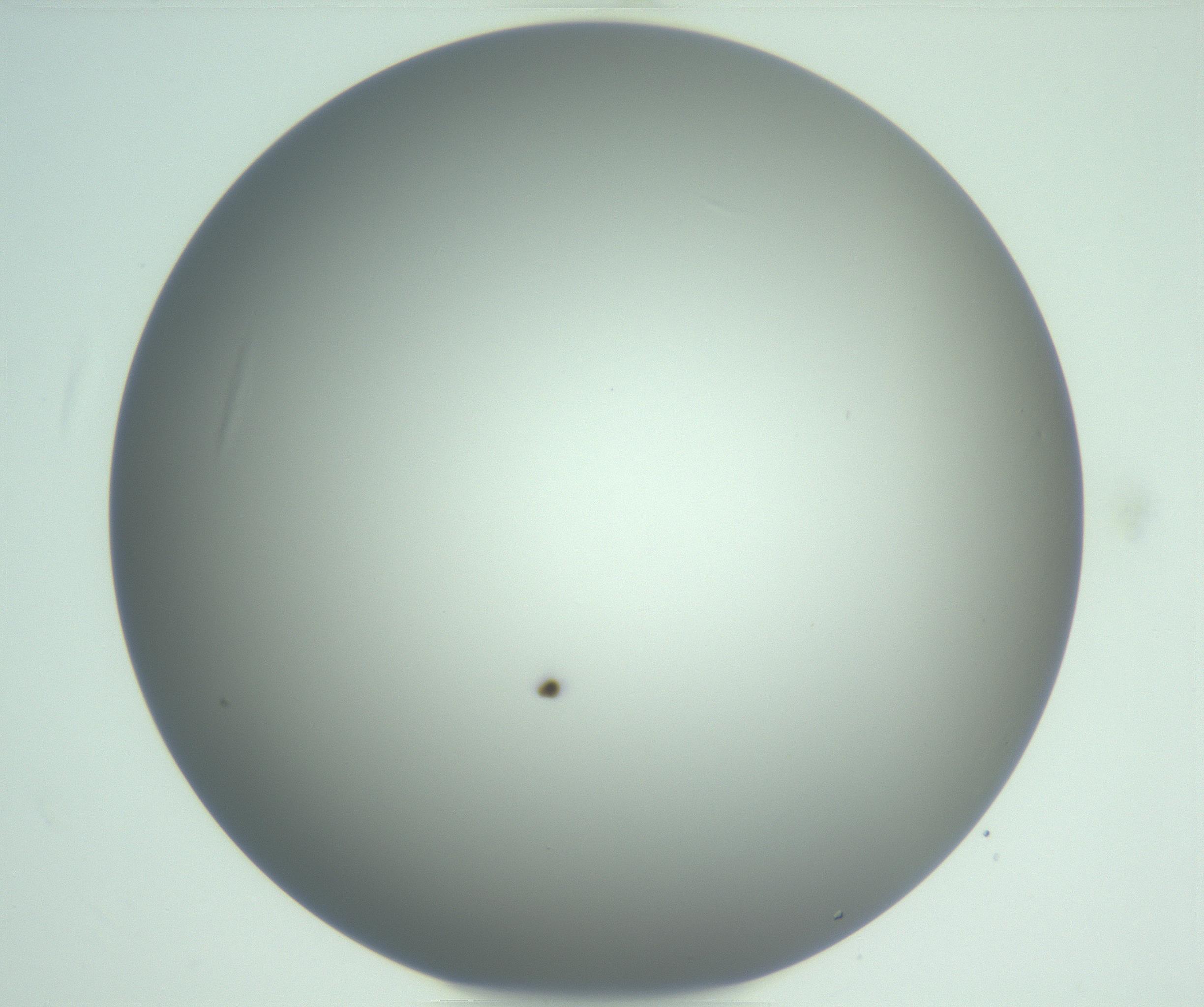 RI01_03_000_0212_Proj1_Clon1_MC_0000MC102976_007_161129_10_07_01_00_99_002_001_RAI.jpg