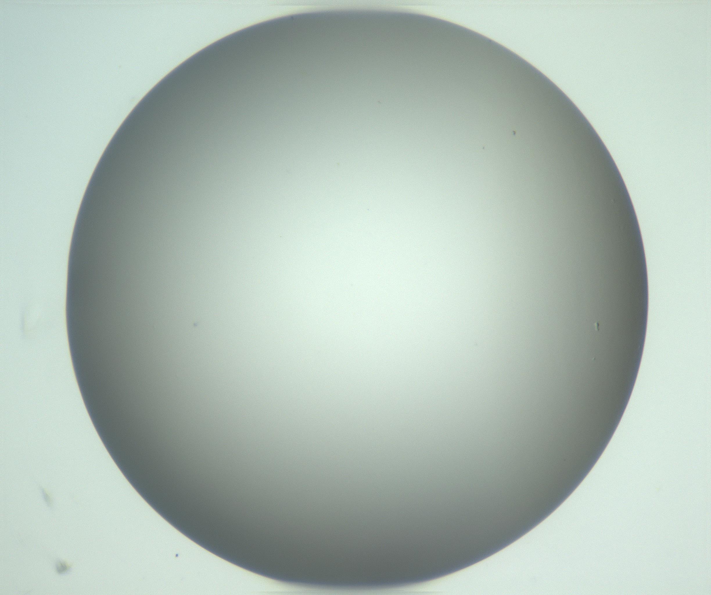 RI01_03_000_0212_Proj1_Clon1_MC_0000MC102976_007_161129_10_08_01_00_99_002_001_RAI.jpg