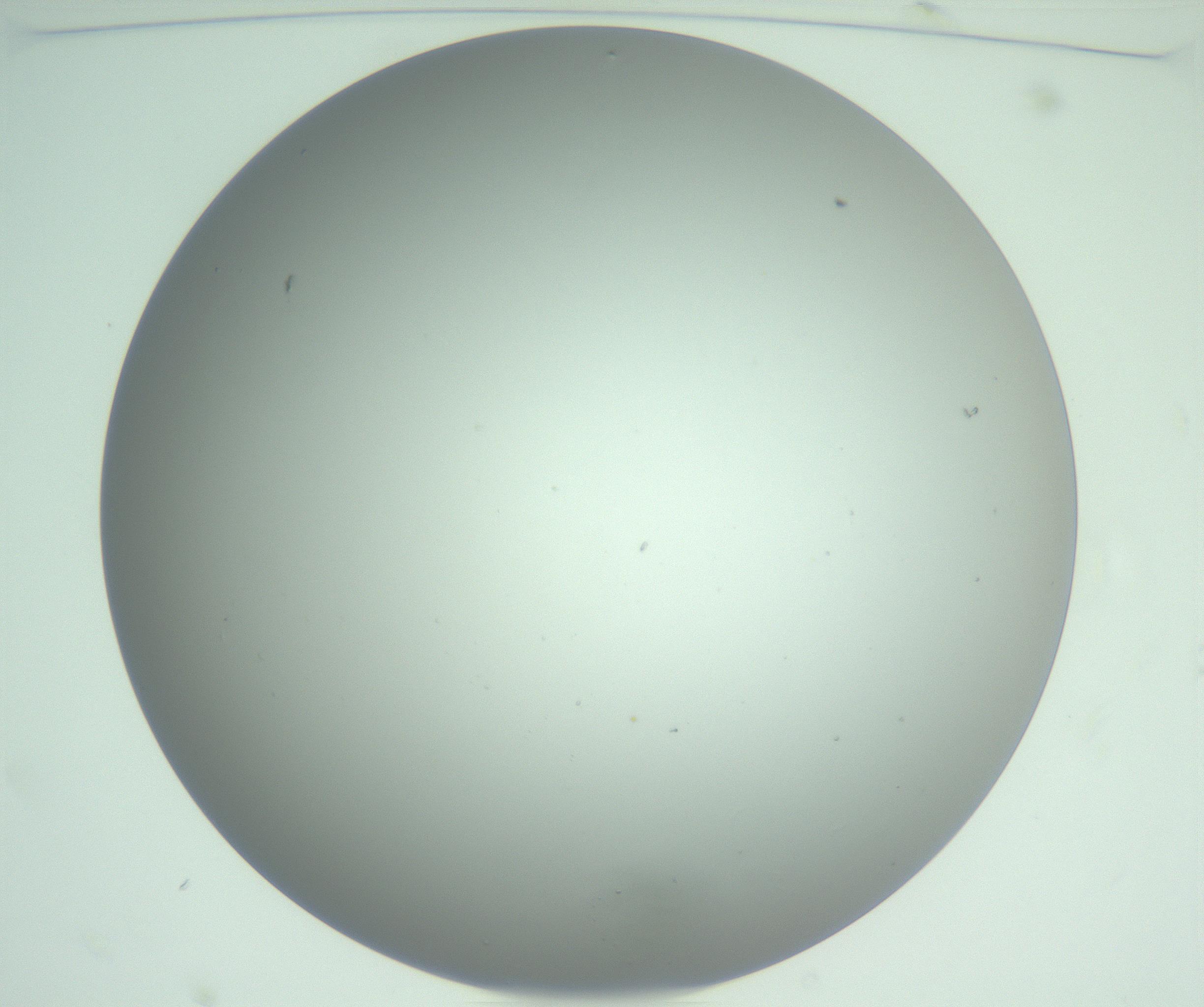 RI01_03_000_0212_Proj1_Clon1_MC_0000MC102976_007_161129_11_01_01_00_99_002_001_RAI.jpg