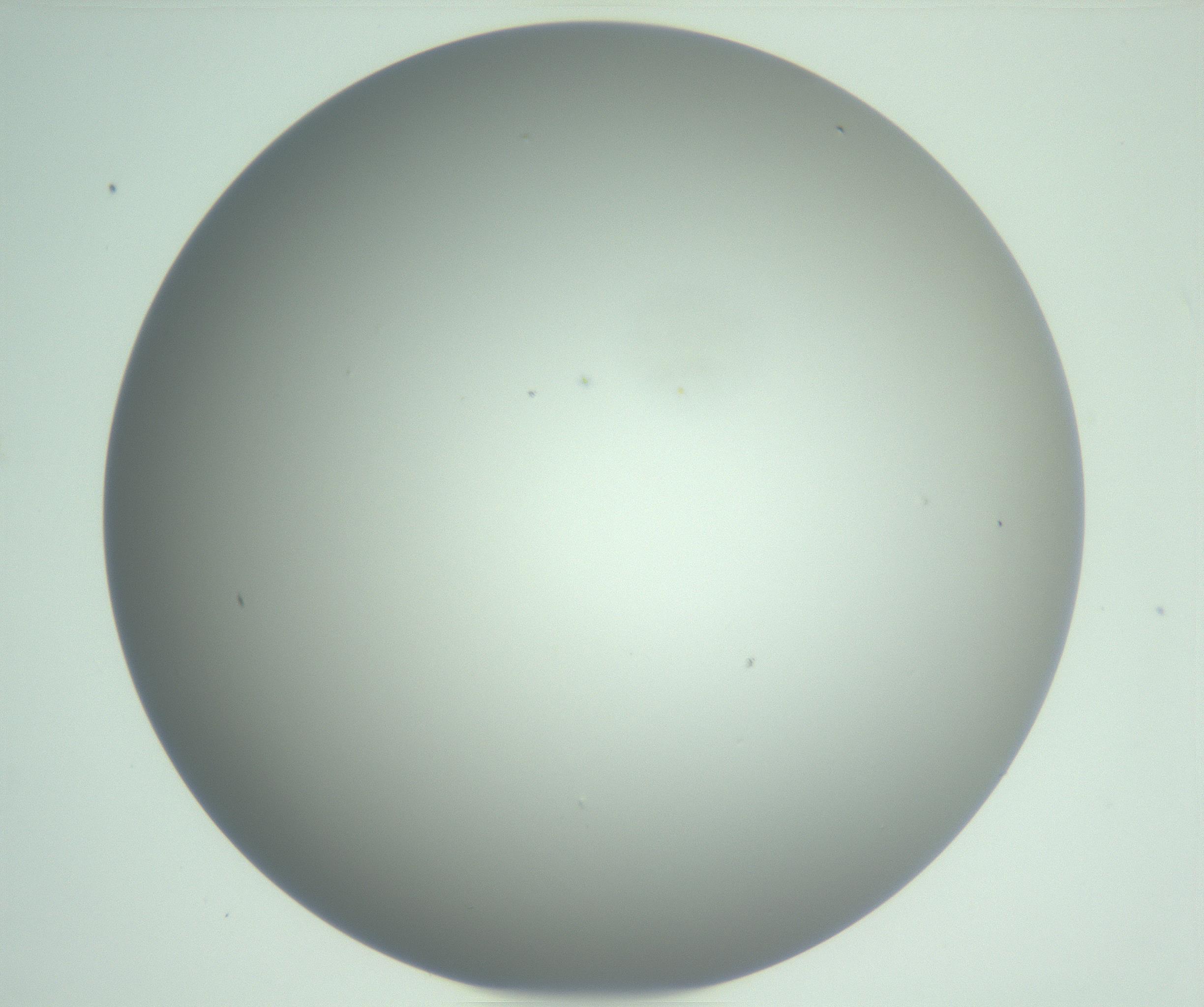 RI01_03_000_0212_Proj1_Clon1_MC_0000MC102976_007_161129_11_02_01_00_99_002_001_RAI.jpg