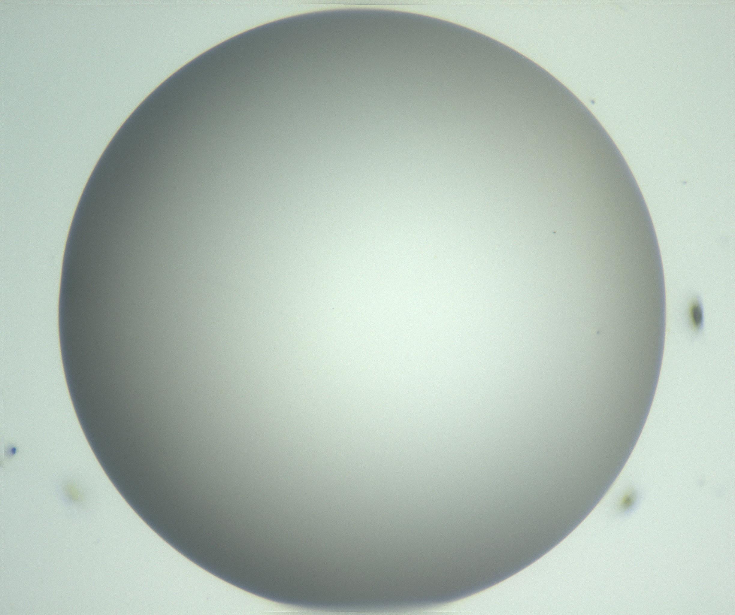 RI01_03_000_0212_Proj1_Clon1_MC_0000MC102976_007_161129_11_03_01_00_99_002_001_RAI.jpg