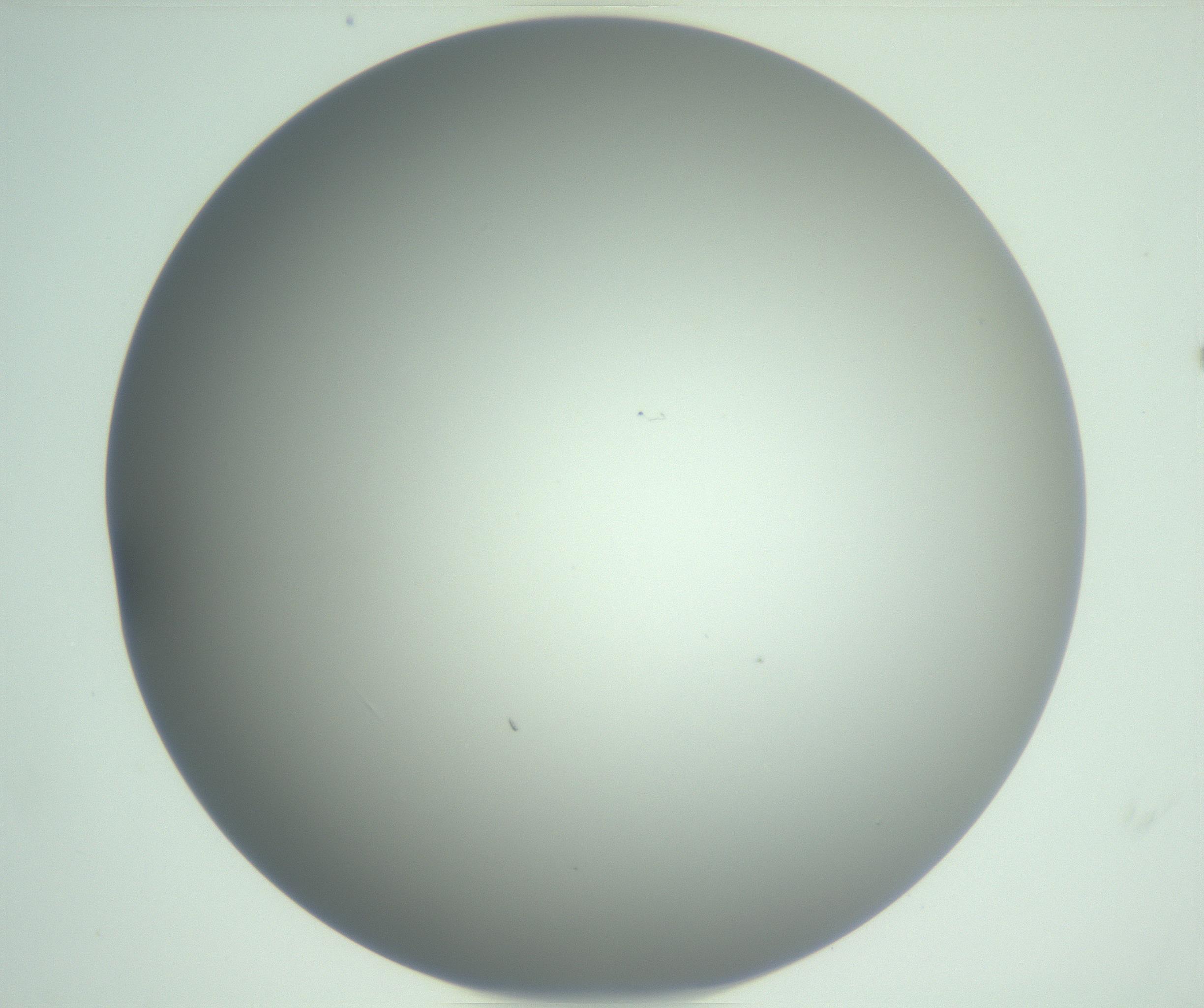 RI01_03_000_0212_Proj1_Clon1_MC_0000MC102976_007_161129_11_04_01_00_99_002_001_RAI.jpg