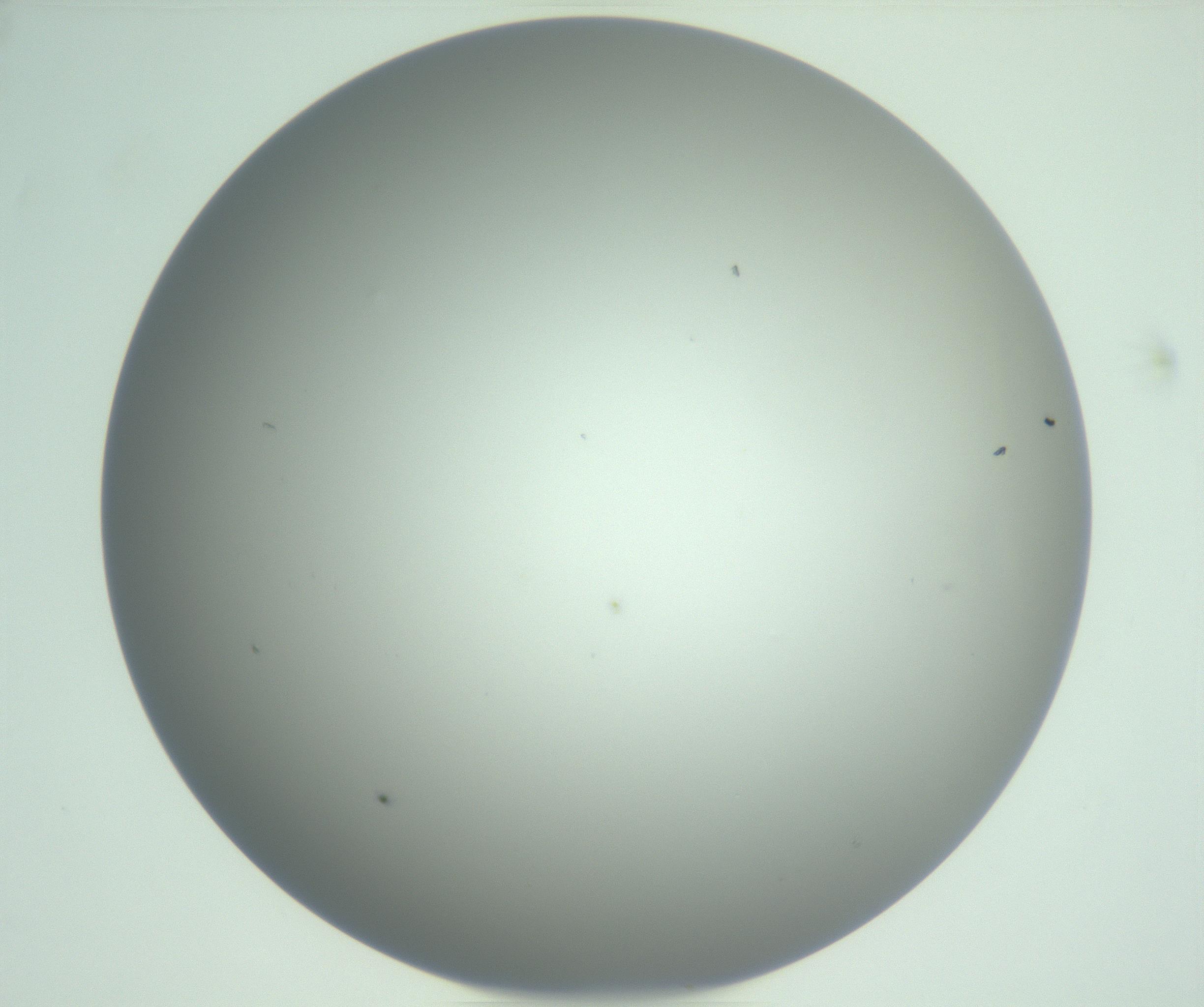 RI01_03_000_0212_Proj1_Clon1_MC_0000MC102976_007_161129_11_05_01_00_99_002_001_RAI.jpg