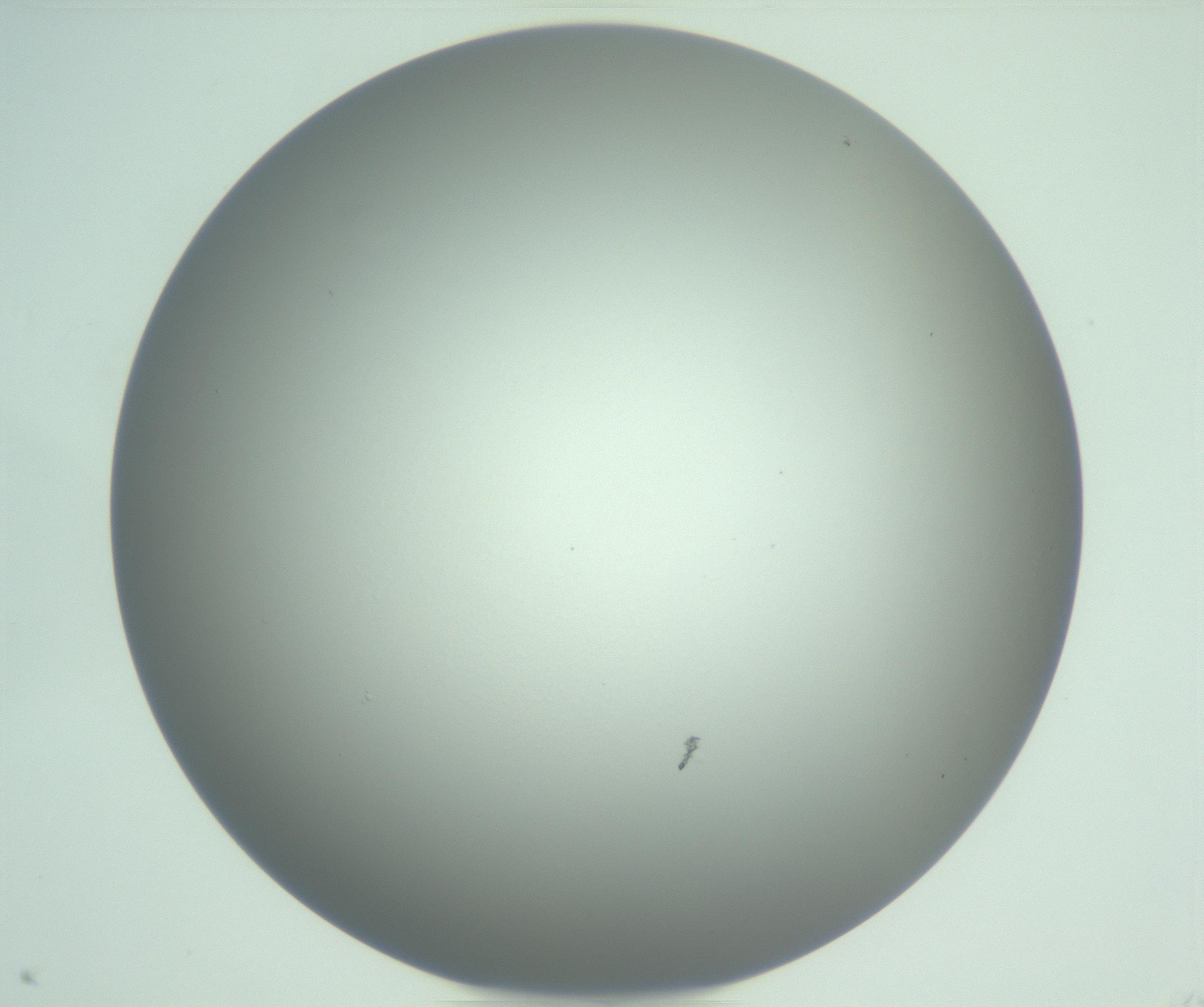 RI01_03_000_0212_Proj1_Clon1_MC_0000MC102976_007_161129_11_08_01_00_99_002_001_RAI.jpg