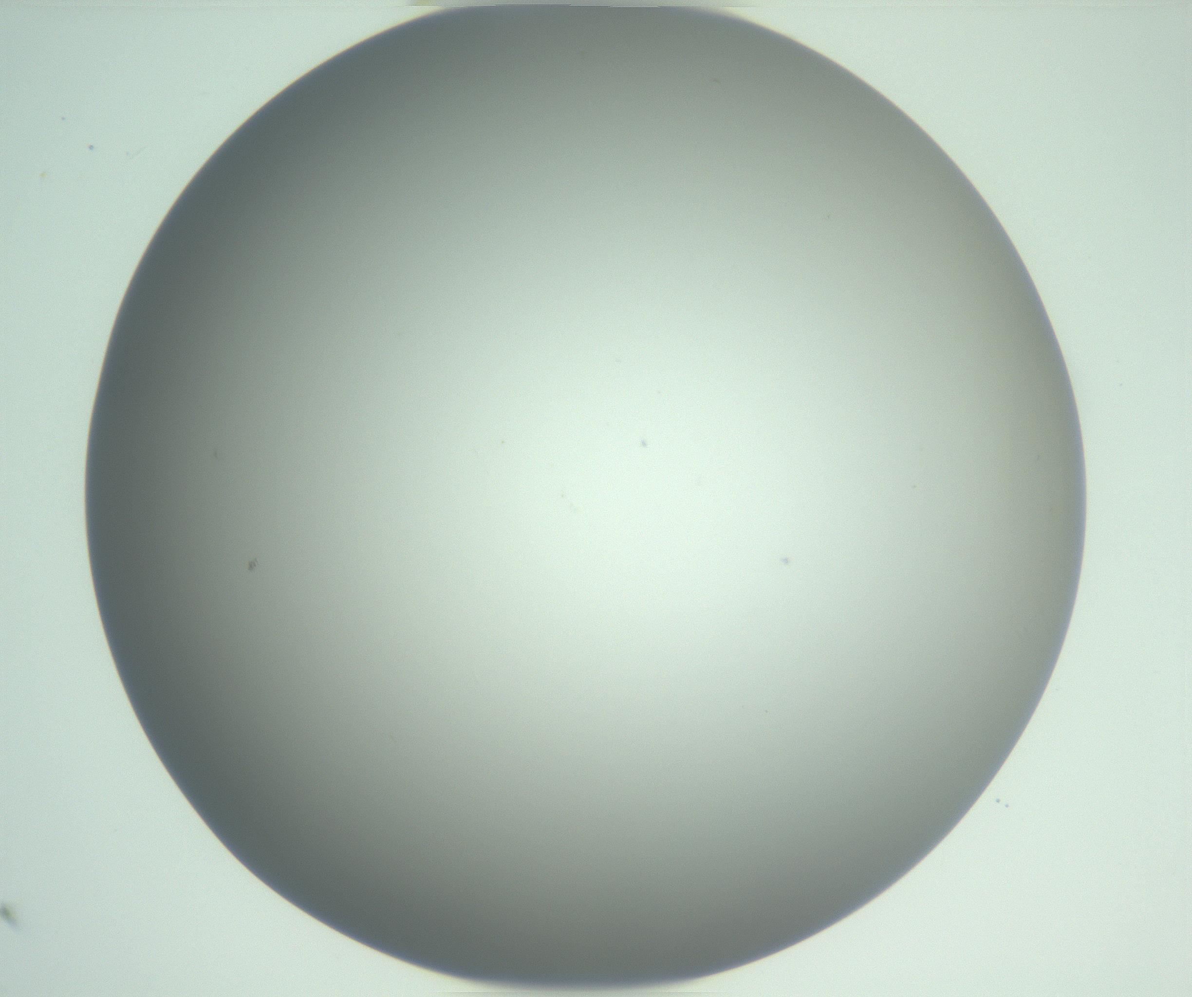 RI01_03_000_0212_Proj1_Clon1_MC_0000MC102976_007_161129_12_01_01_00_99_002_001_RAI.jpg
