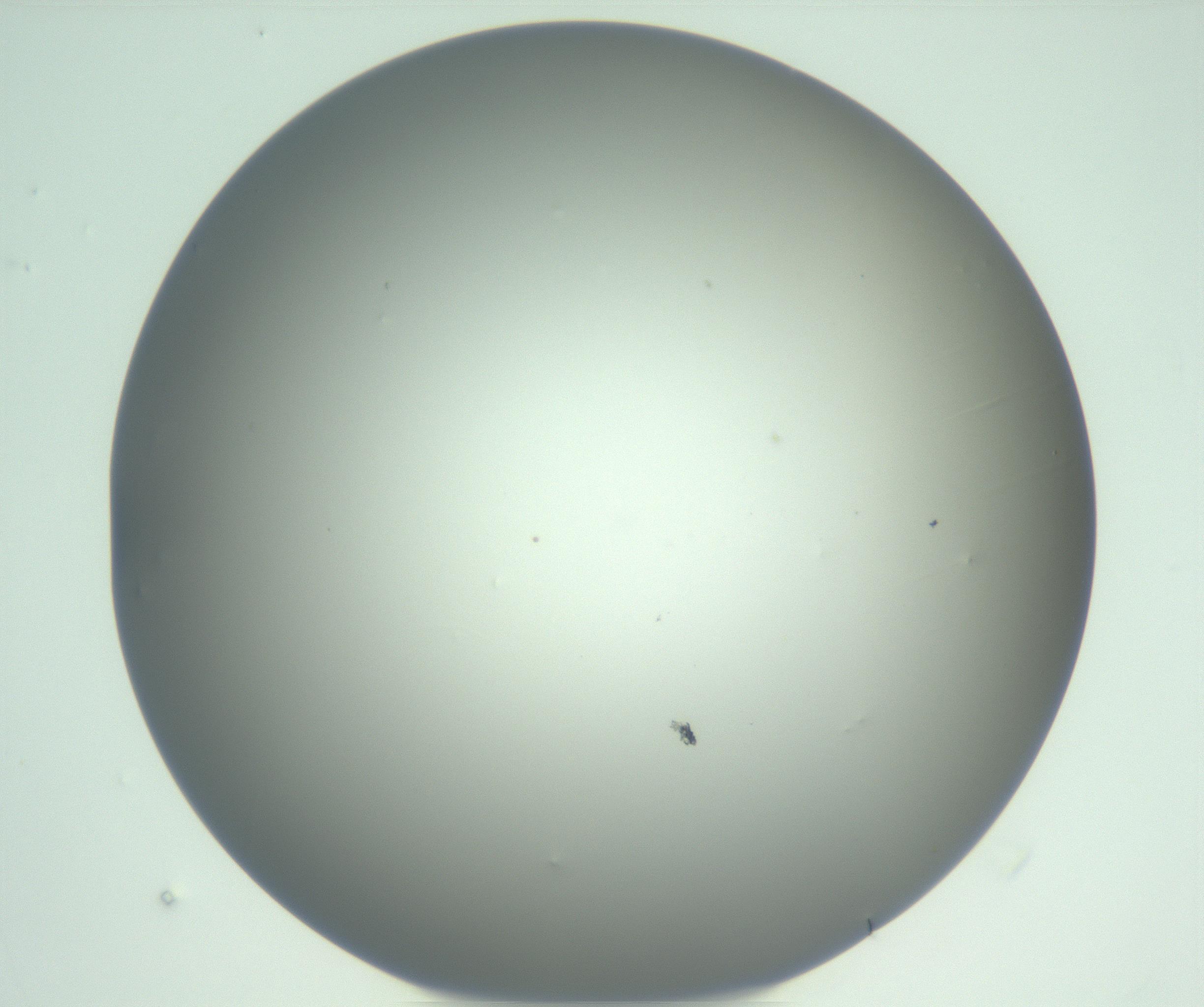RI01_03_000_0212_Proj1_Clon1_MC_0000MC102976_007_161129_12_05_01_00_99_002_001_RAI.jpg
