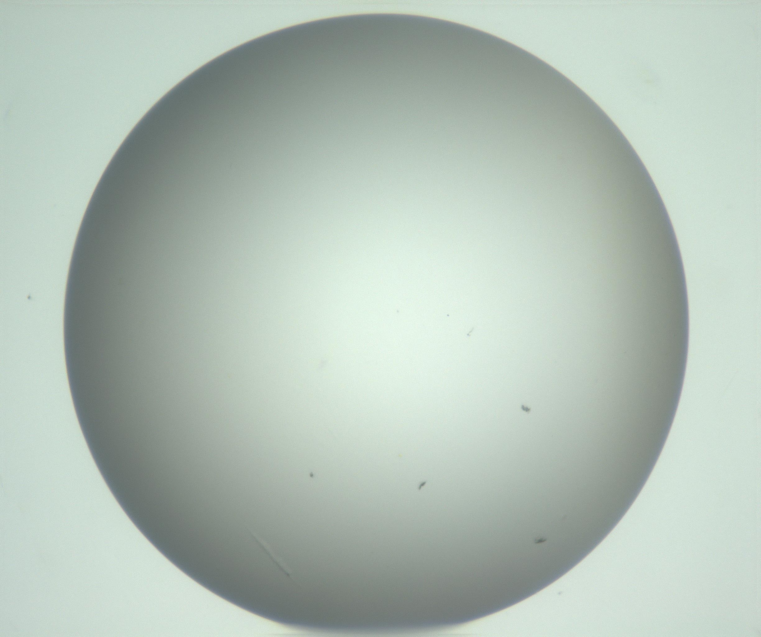 RI01_03_000_0212_Proj1_Clon1_MC_0000MC102976_007_161129_12_06_01_00_99_002_001_RAI.jpg