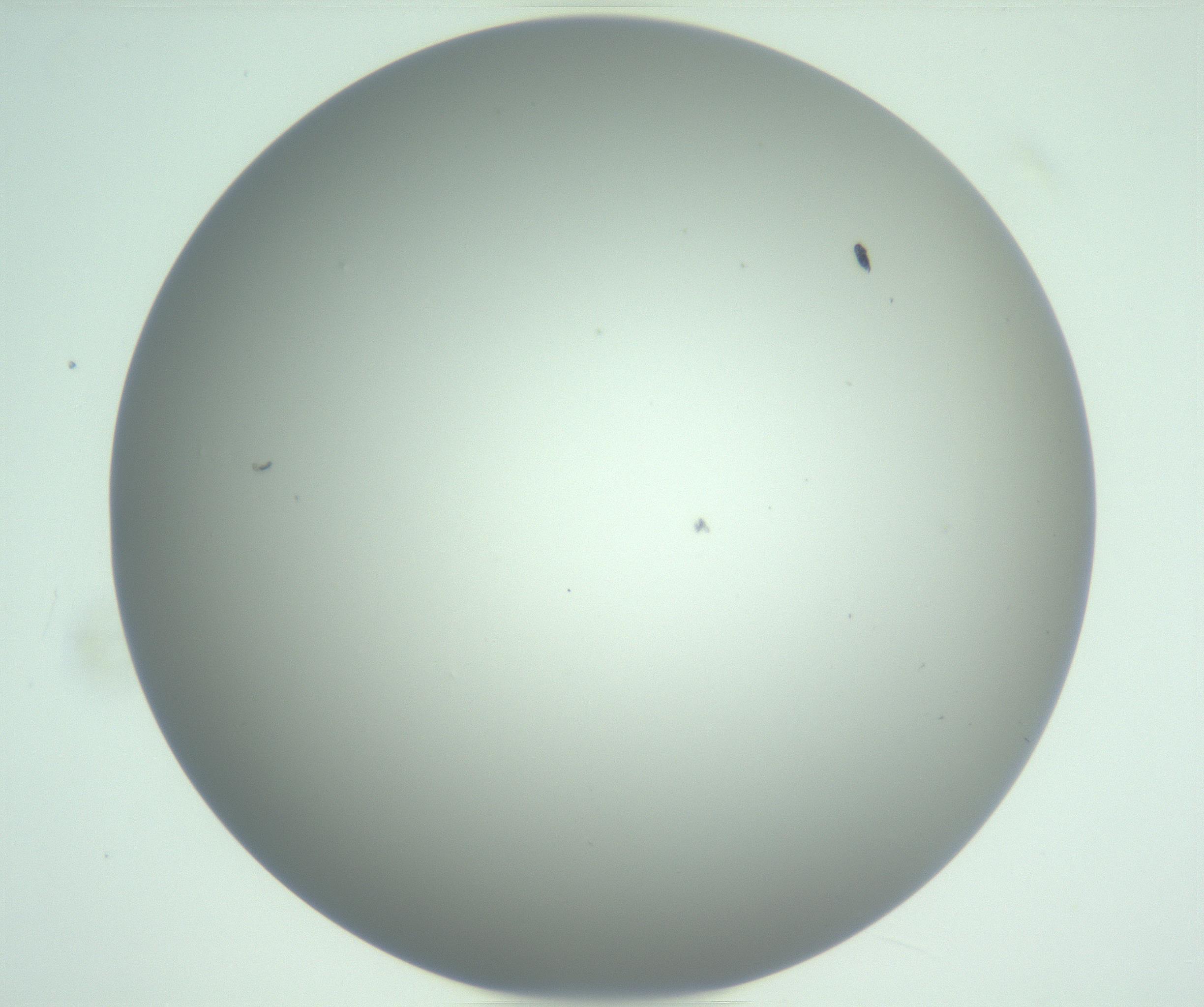 RI01_03_000_0212_Proj1_Clon1_MC_0000MC102976_007_161129_12_07_01_00_99_002_001_RAI.jpg