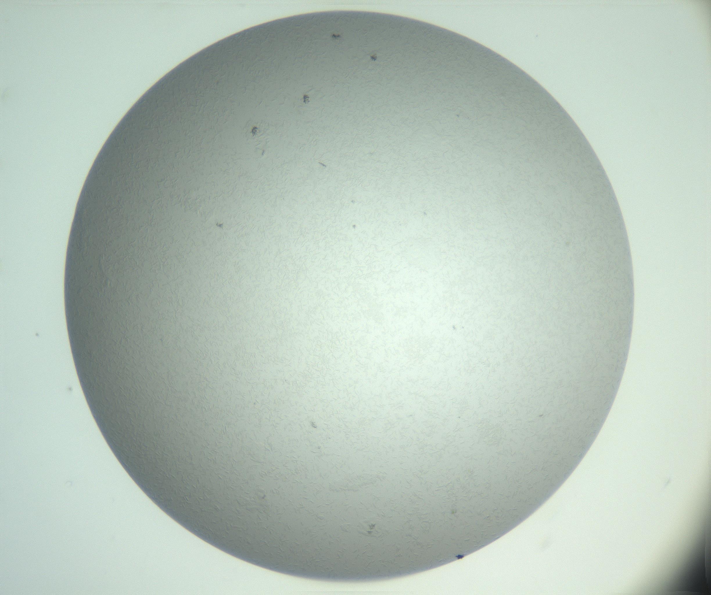 RI01_03_000_0212_Proj1_Clon1_MC_0000MC102985_003_161119_02_02_02_00_99_002_001_RAI.jpg