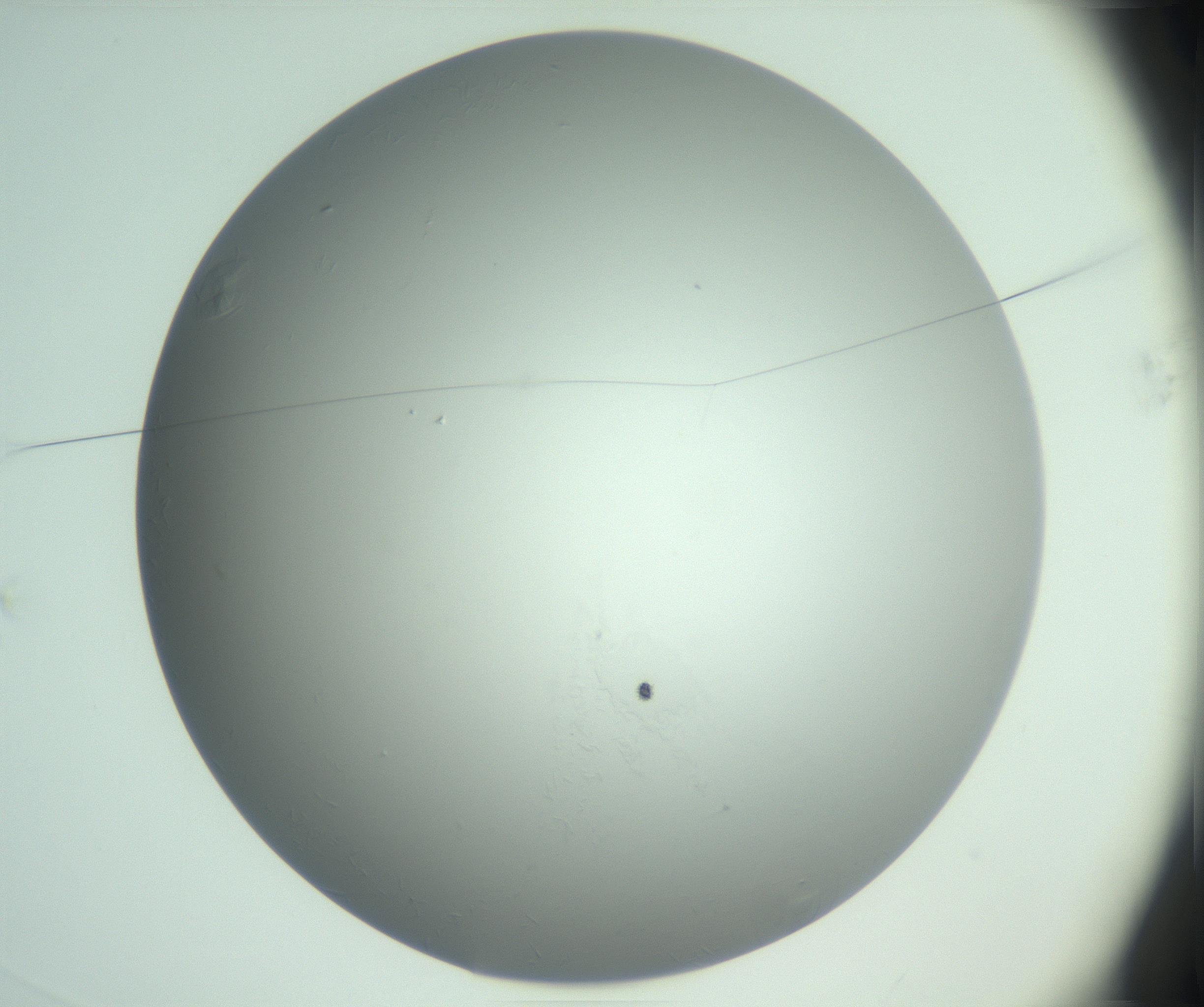 RI01_03_000_0212_Proj1_Clon1_MC_0000MC102985_003_161119_03_01_01_00_99_002_001_RAI.jpg