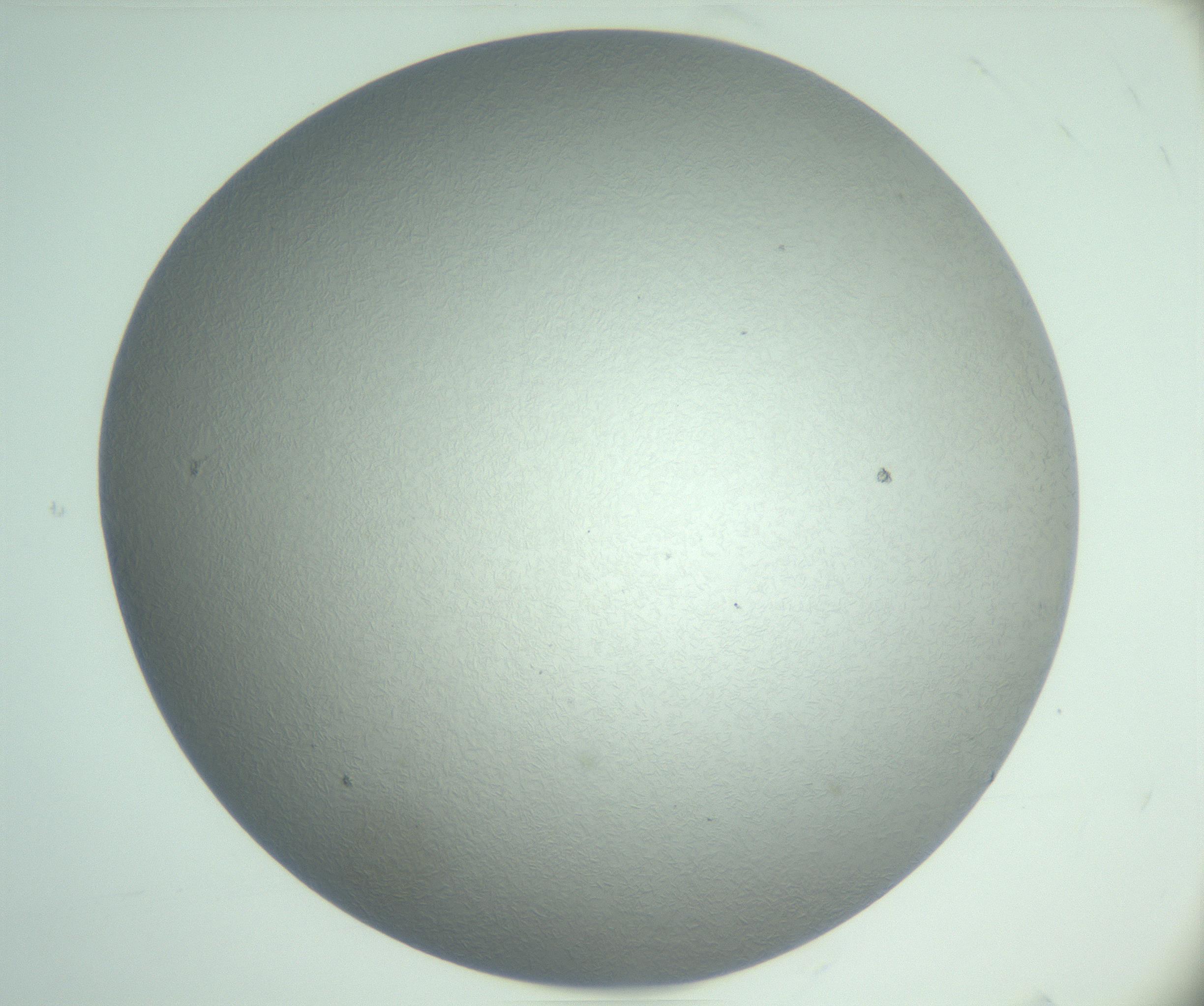 RI01_03_000_0212_Proj1_Clon1_MC_0000MC102985_003_161119_04_01_01_00_99_002_001_RAI.jpg
